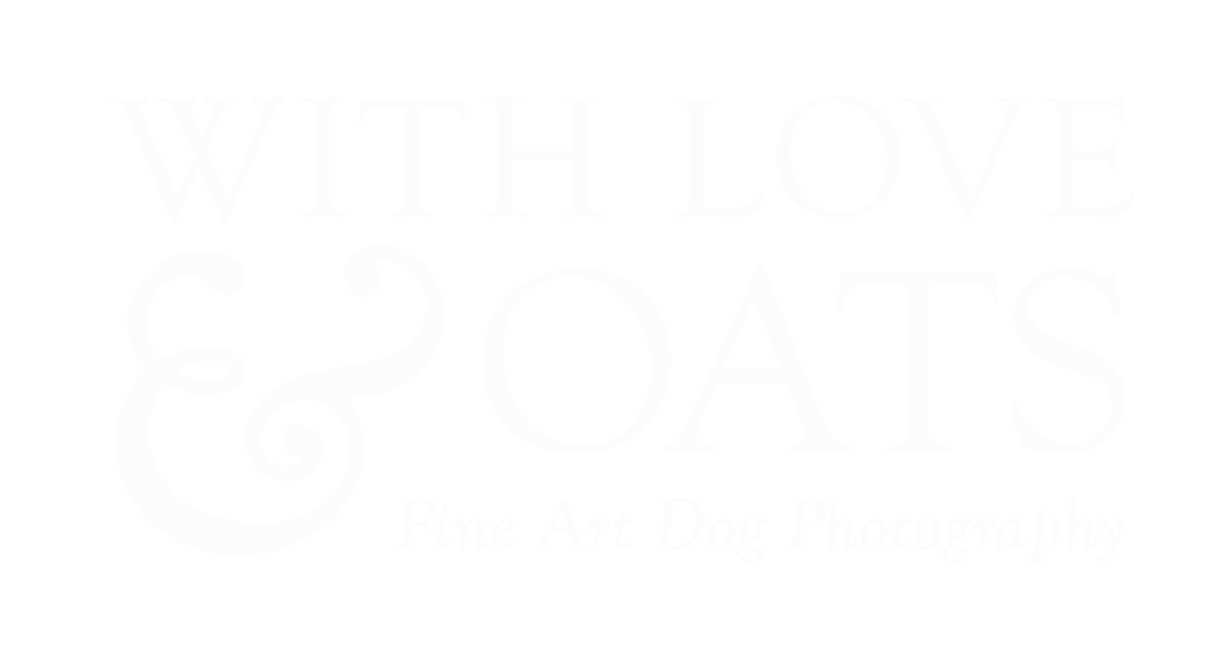 With Love &amp; Oats | Connecticut Dog Photography