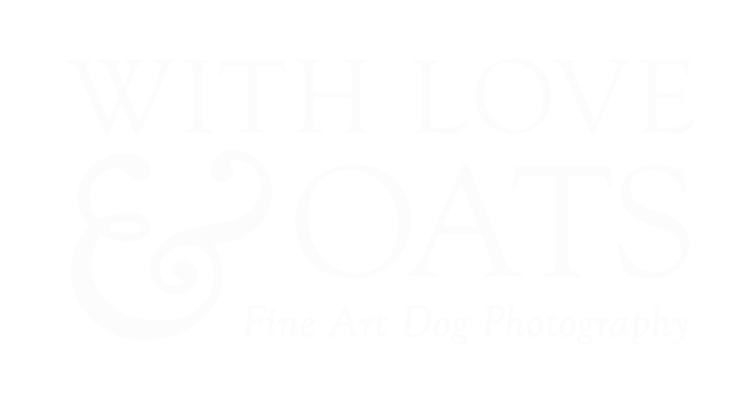 With Love & Oats | Connecticut Dog Photography