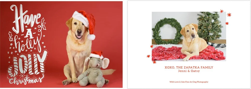 Now Booking! Limited Edition Holiday Sessions! — With Love & Oats ...