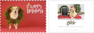Now Booking! Limited Edition Holiday Sessions! — With Love & Oats ...