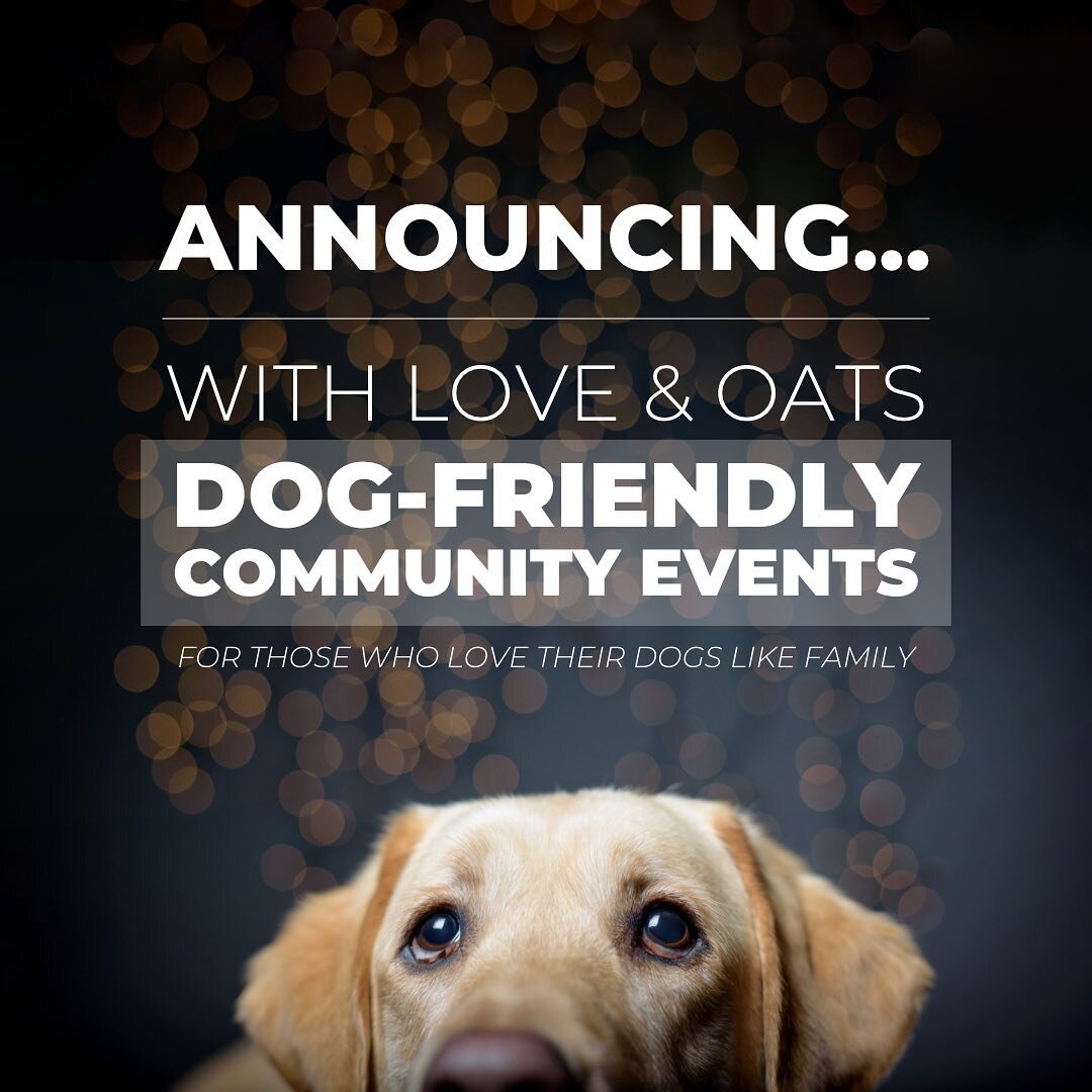 How Much Oats Can I Give My Dog