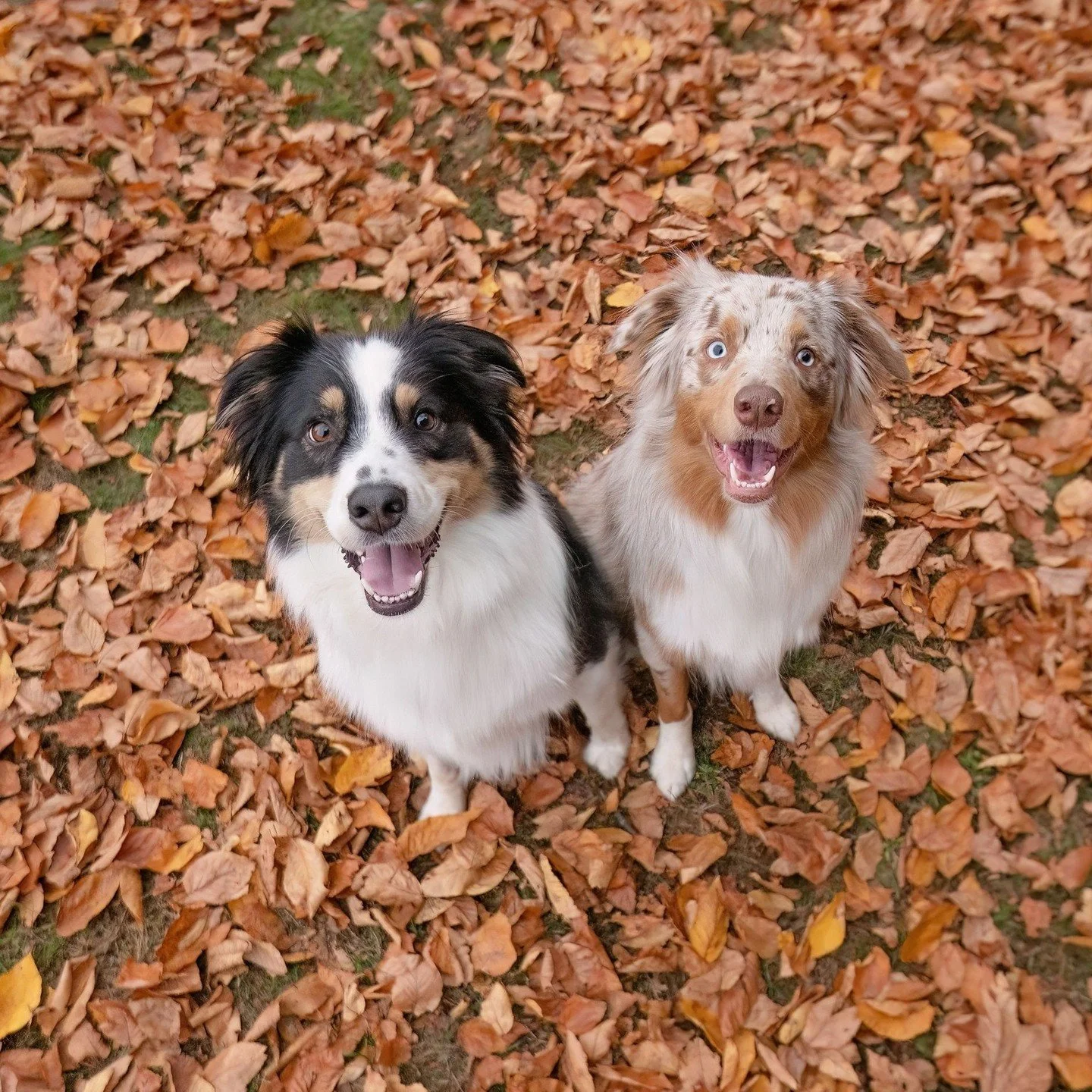 REMI &amp; OLIVER | We&rsquo;re literally just standing here. Not our fault we look royal.