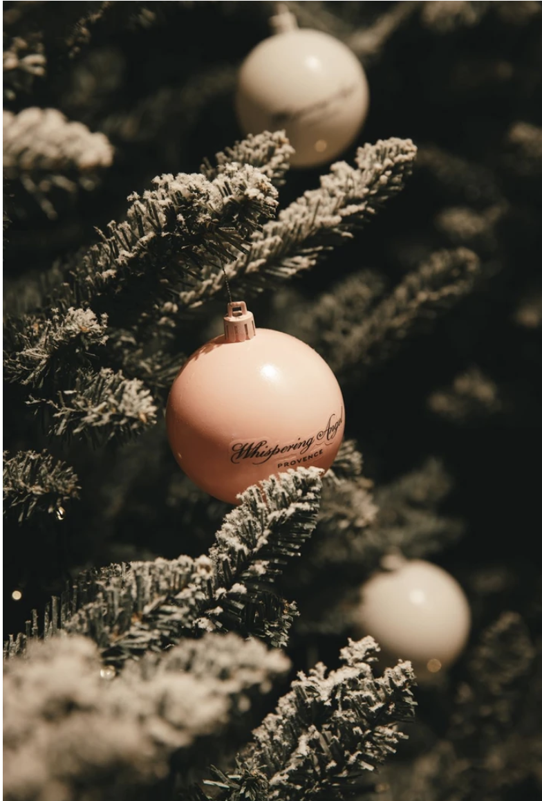 Screenshot 2024-08-20 at 22.48.23.png