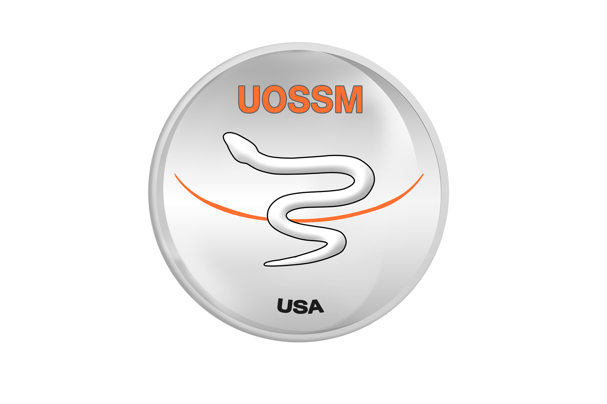 UOSSM USA logo.png