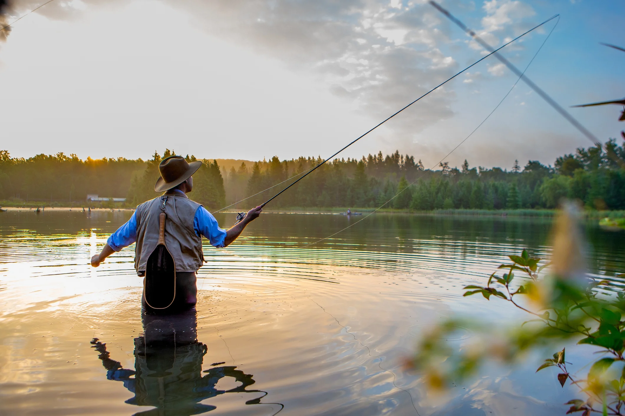 Photo by GROGL/iStock / Getty Images