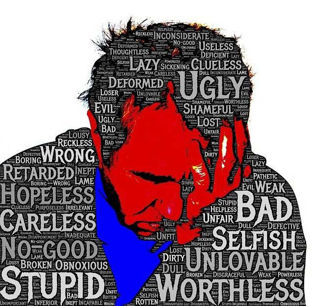 shame-927084_640.jpg