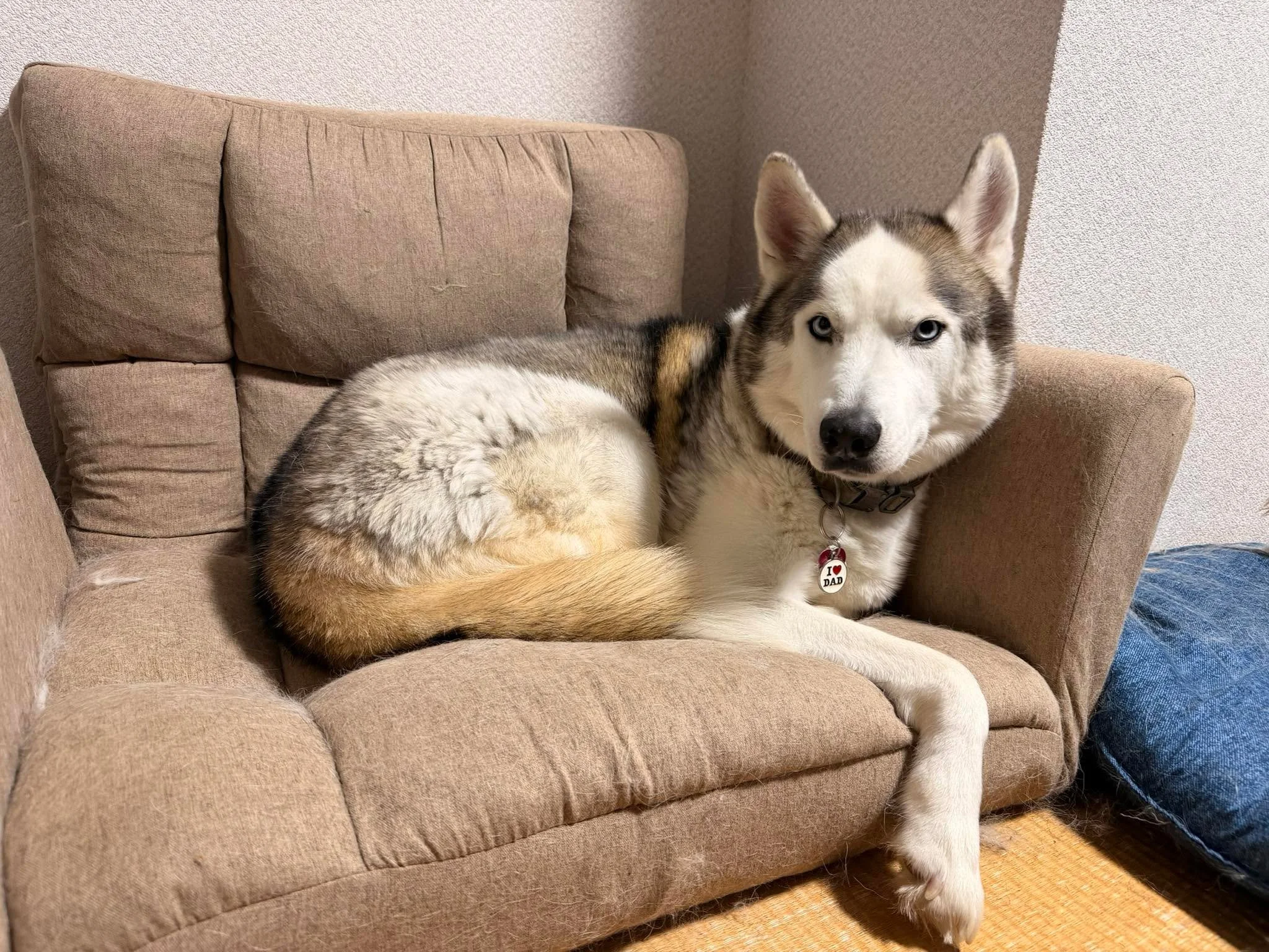 Hey there, I&rsquo;m Kobe beef, the golden retriever with a heart as big as my appetite and boy do I have a story for you&hellip;

This one is about my brother, Luca Von Howler. You might know him as the quiet one. The watchful one. The one who looks