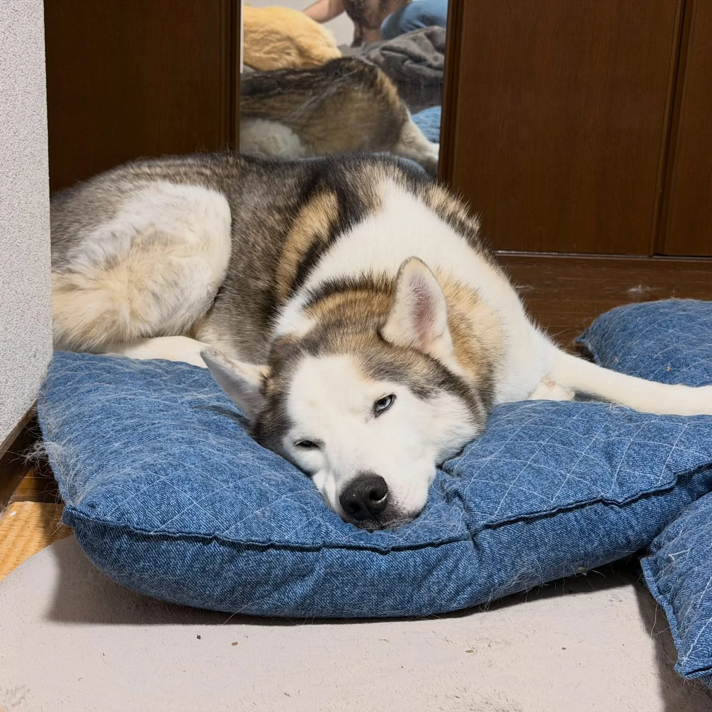 Absolutely ridiculous lol