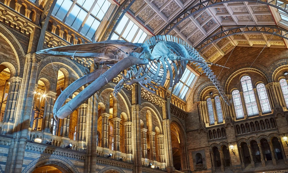 nhm-all-world-journeys.jpg