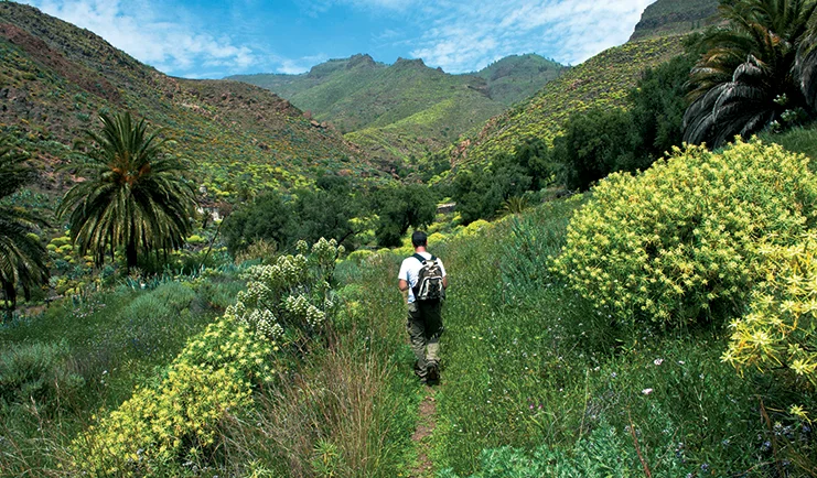 Canaries-all world journeys-holidays
