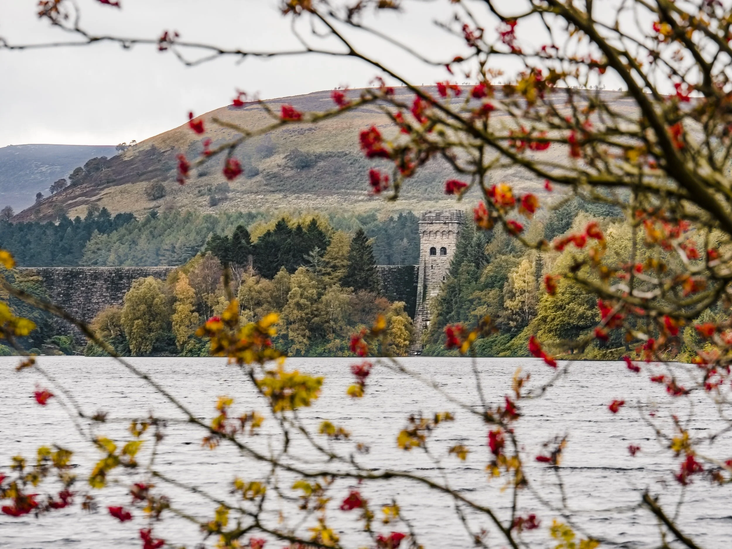 visit-derwent