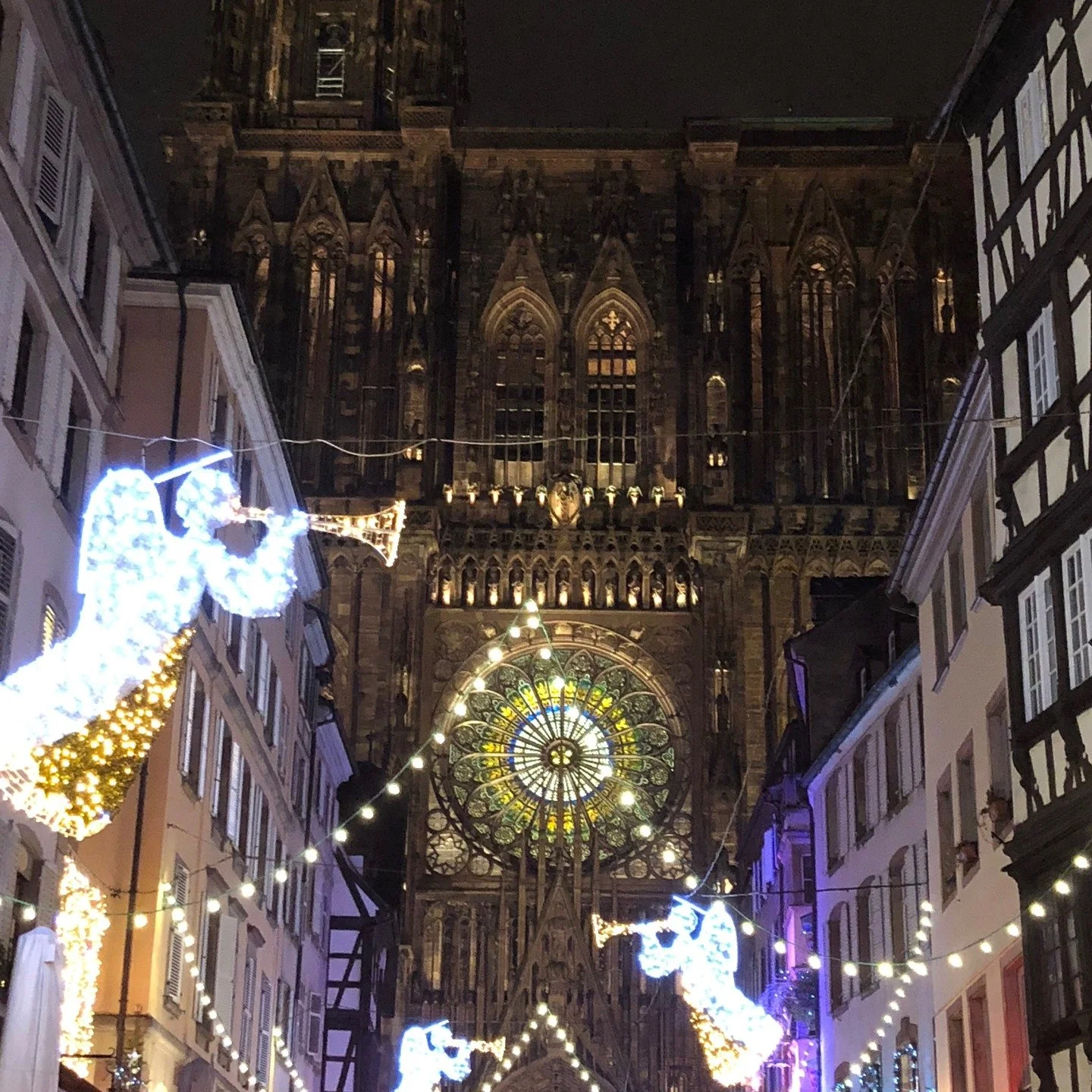 Strasbourg by night feels like stepping straight into a living Christmas fairy tale. ✨
The streets glow with festive lights, every corner is filled with the scent of mulled wine and the Christmas markets are overflowing with handcrafted treasures, wa