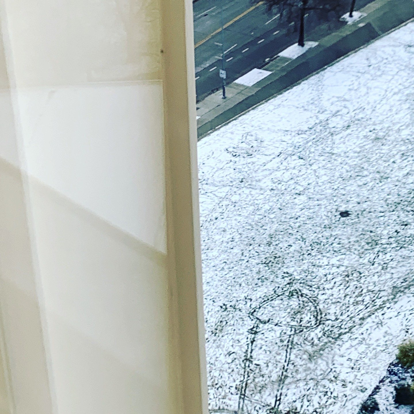 I went to the Space Needle thinking it would just be another viewpoint.
Something to check off the list.
But as the elevator lifted me above Seattle, the city slowly unfolded, water meeting skyline, mountains resting in the distance, ferries moving l