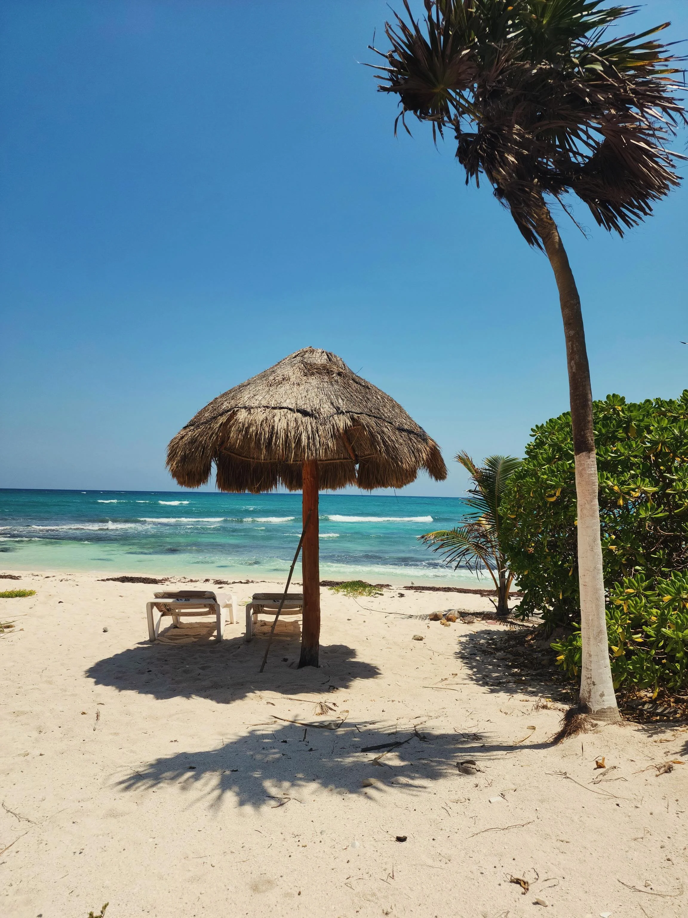 Not all beaches are created equal.
Some are meant to be experienced&hellip; privately.

Punta Sam, Mexico&mdash;where space, silence, and simplicity become the ultimate luxury.

And sometimes, the most unforgettable part isn&rsquo;t the setting&helli