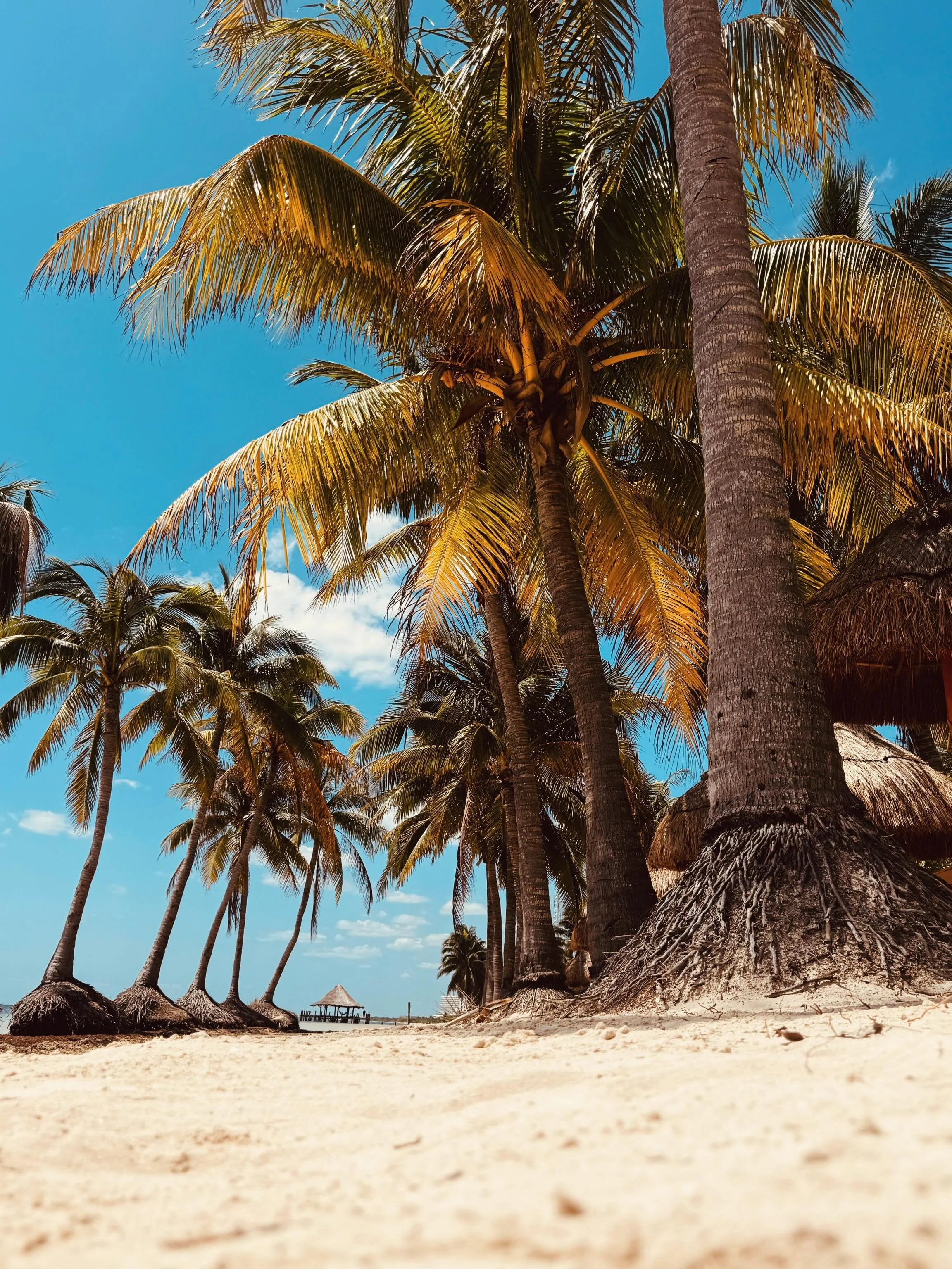 Days like this remind me why I love to travel.
New places, a slower pace and views that don&rsquo;t need a filter. Just taking it all in 🌴🇲🇽 #allworldjourneys #travelexpert #luxuryexperiences #travelphotography #m&eacute;xico