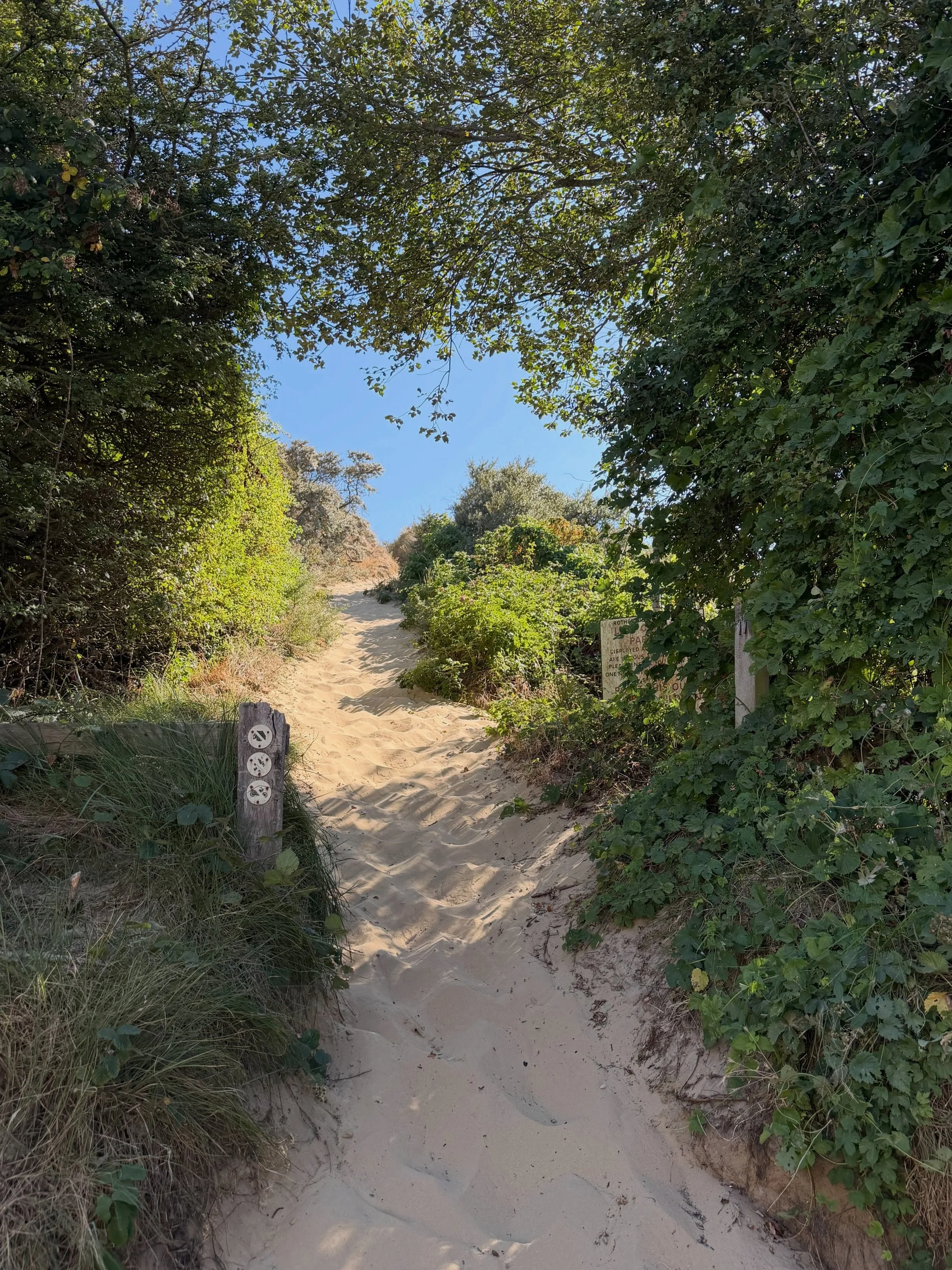 Wandering through the beautiful sand dunes of Camber Sands before heading into the sea for some fun on the water. 🌾🌊

Did you know? Camber Sands is home to the only extensive sand dune system in East Sussex, creating a unique coastal landscape that