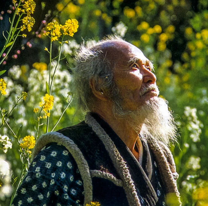 son-alegre-masanobu-fukuoka-1.jpg