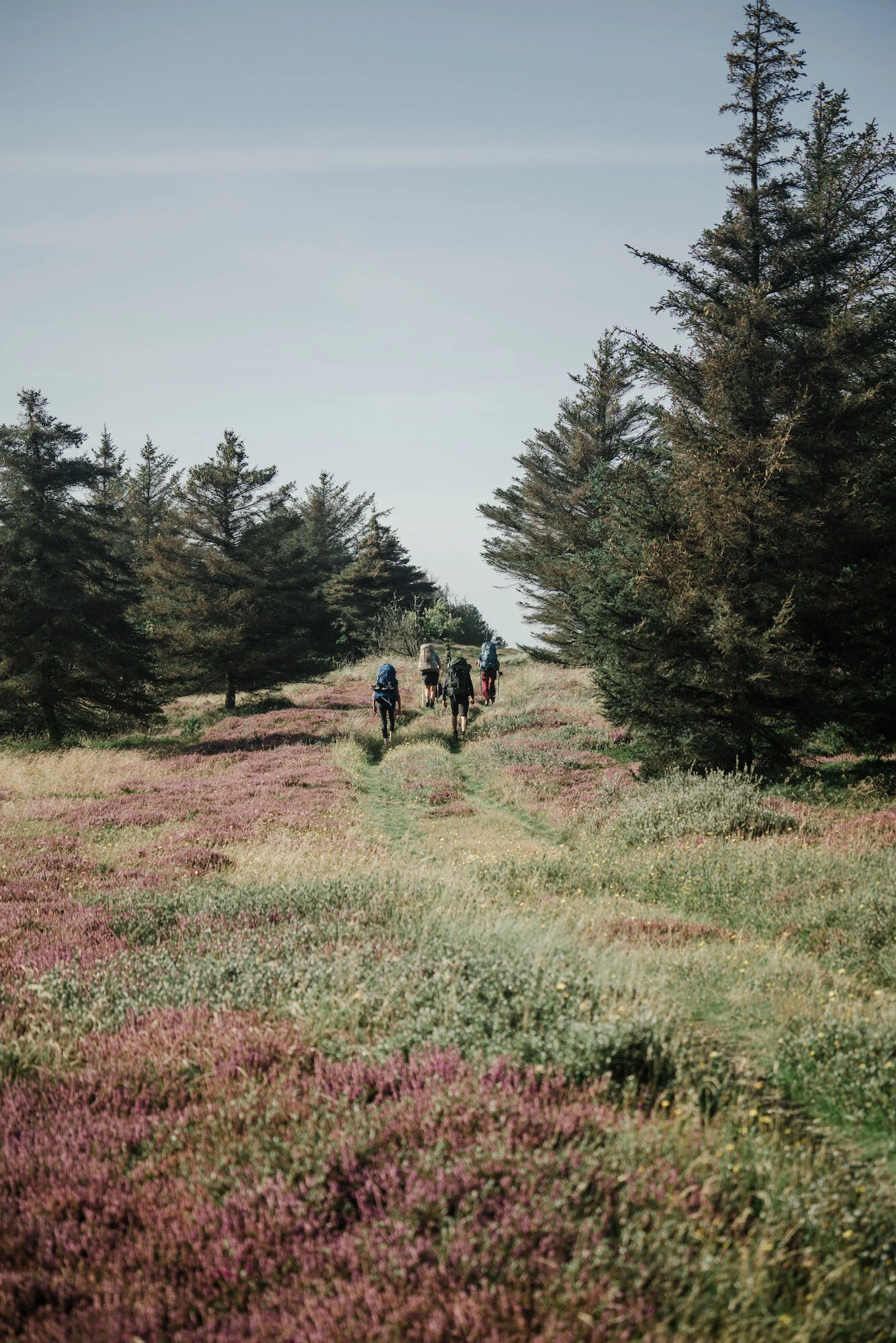 Photo: Thy hike