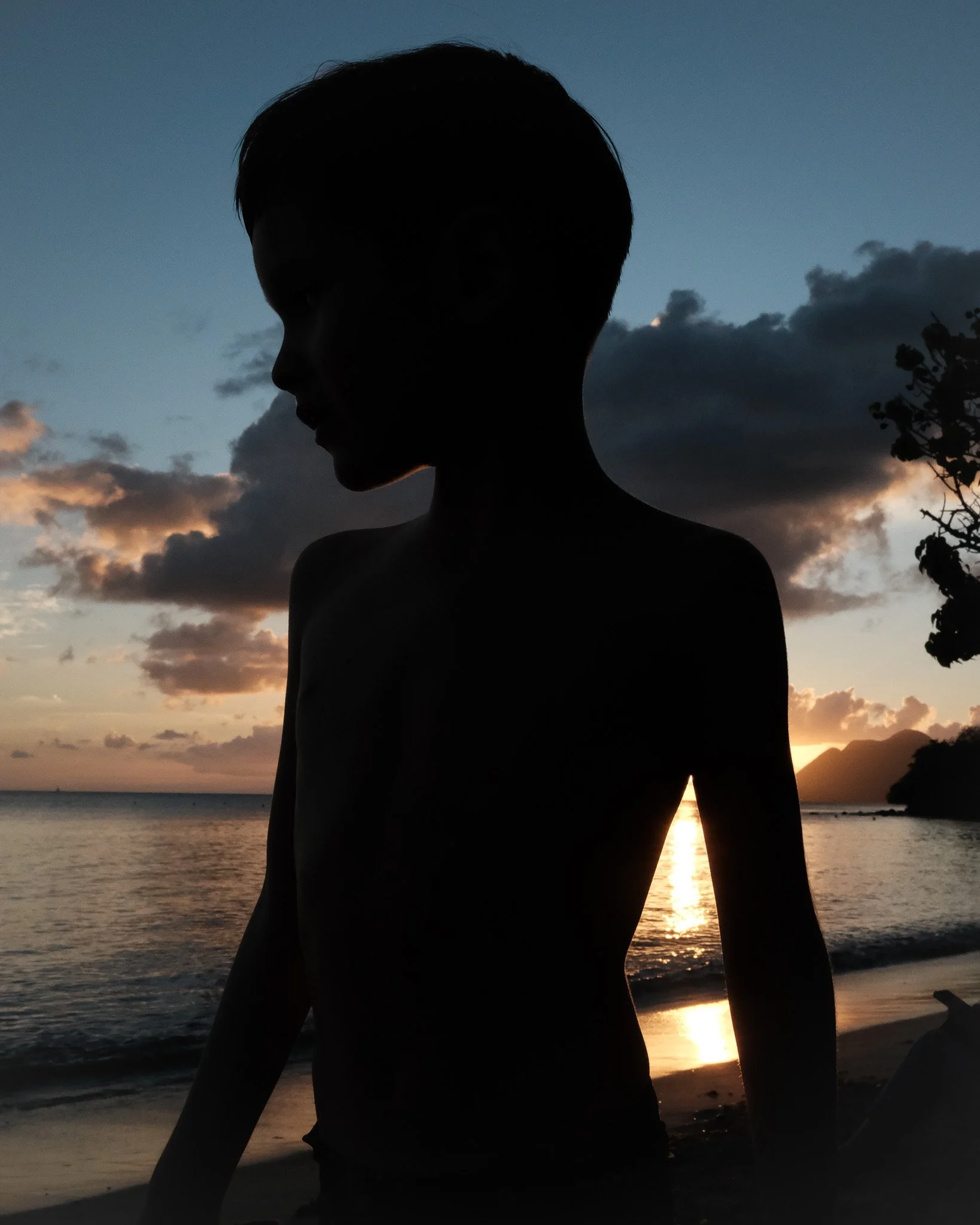 2302_fuji_martinique_4.jpg