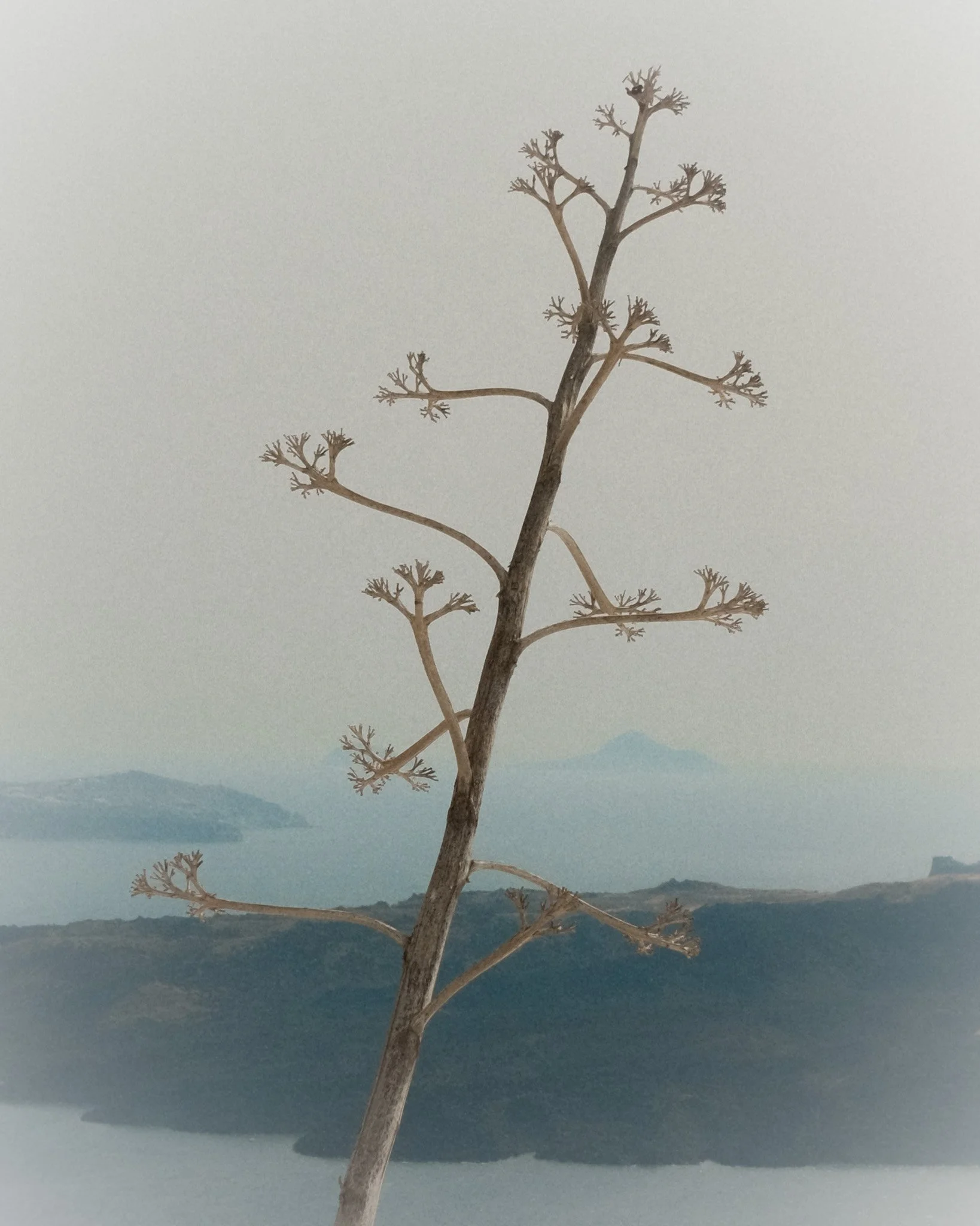 2405_fuji_greece_45.jpg