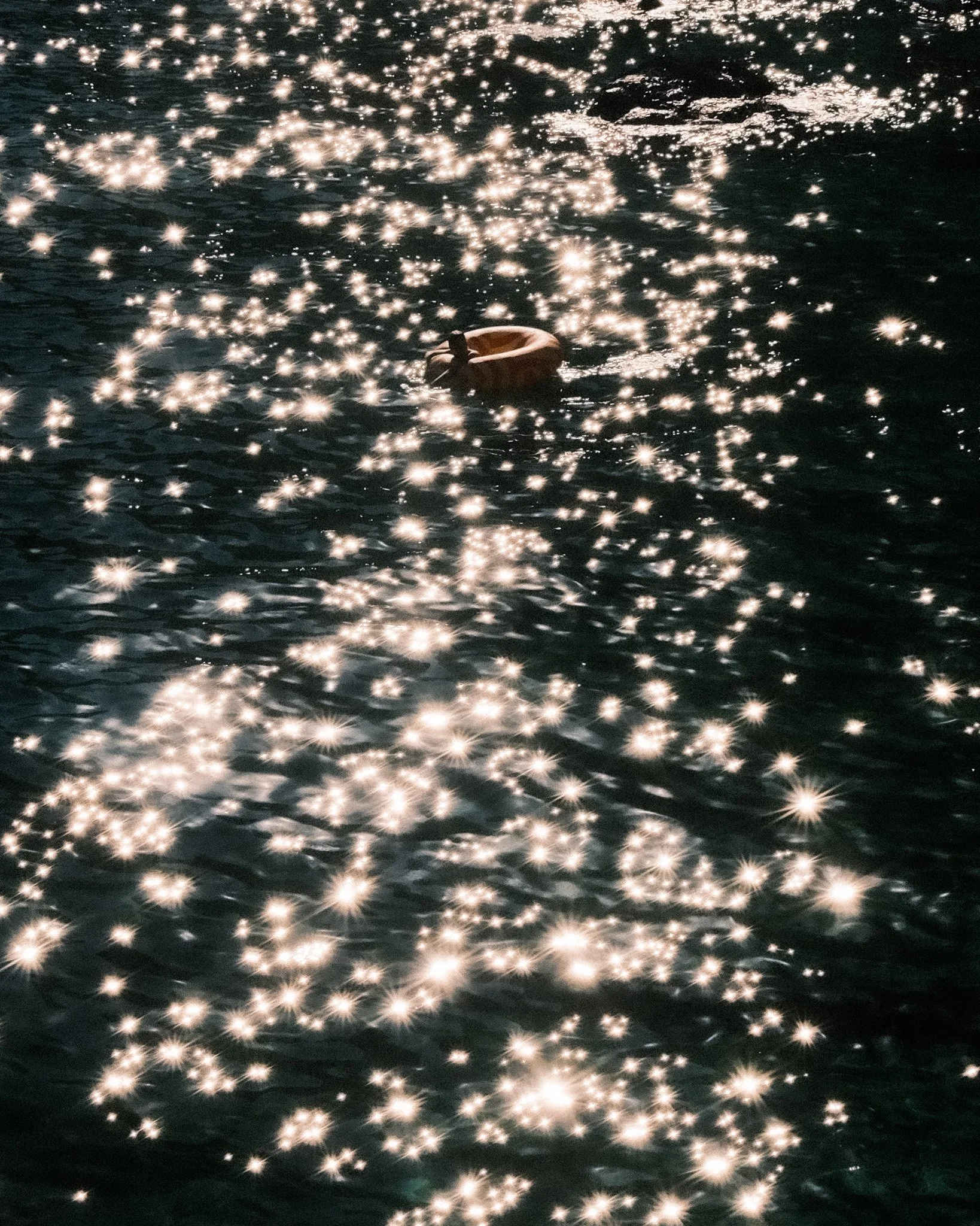 2409_fuji_napoli_336.jpg