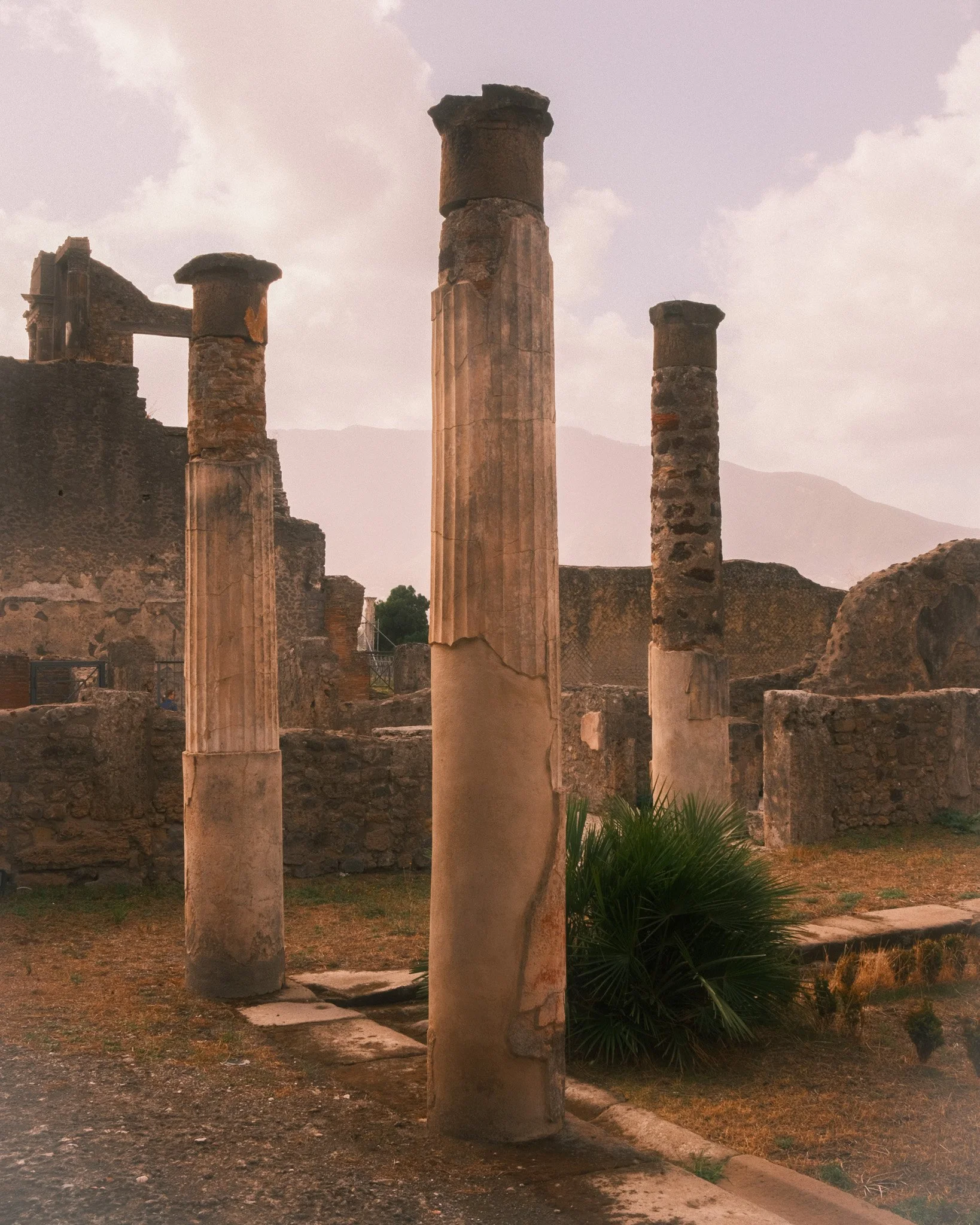 2409_fuji_napoli_13.jpg