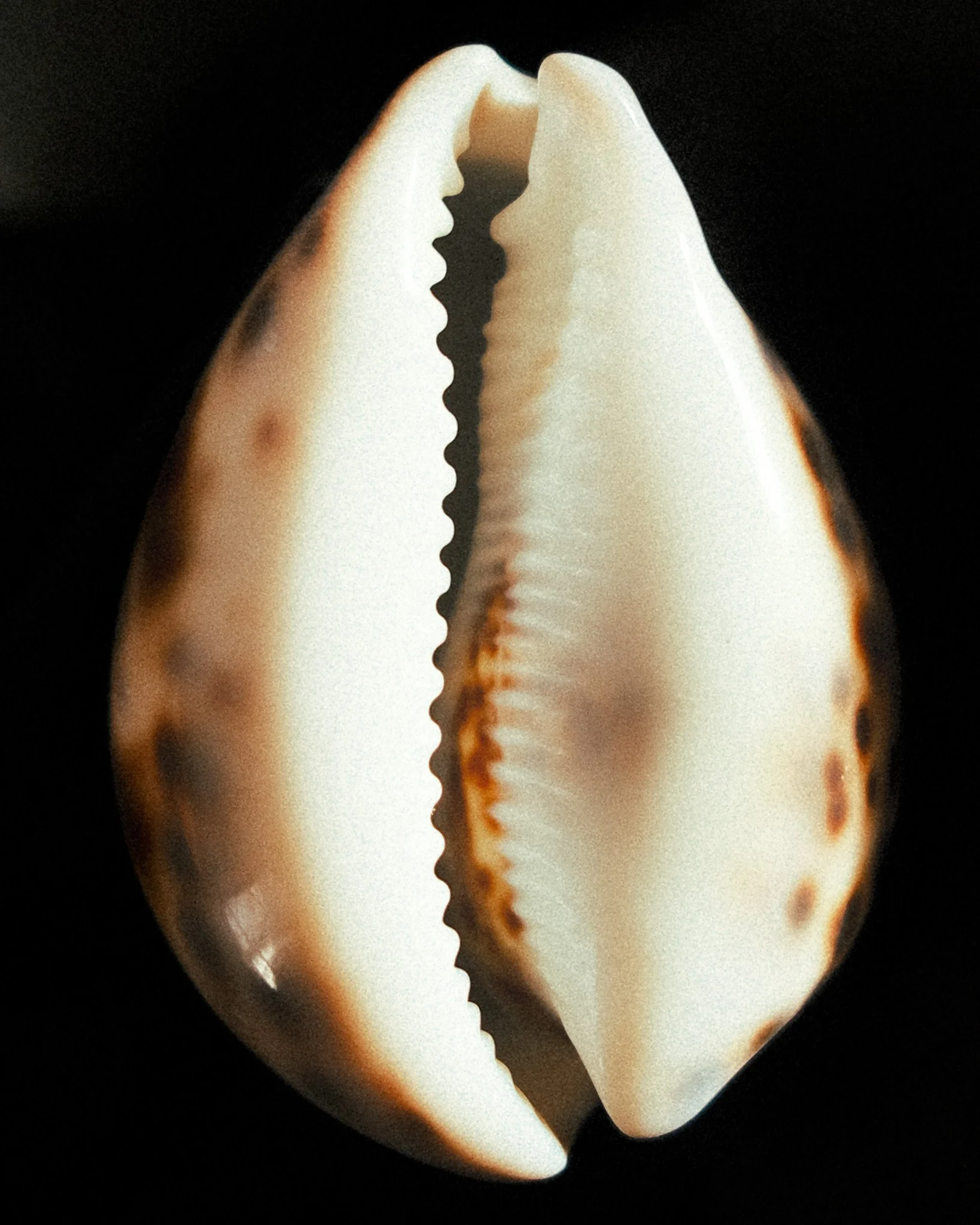 2412_fuji_iledere_69.jpg
