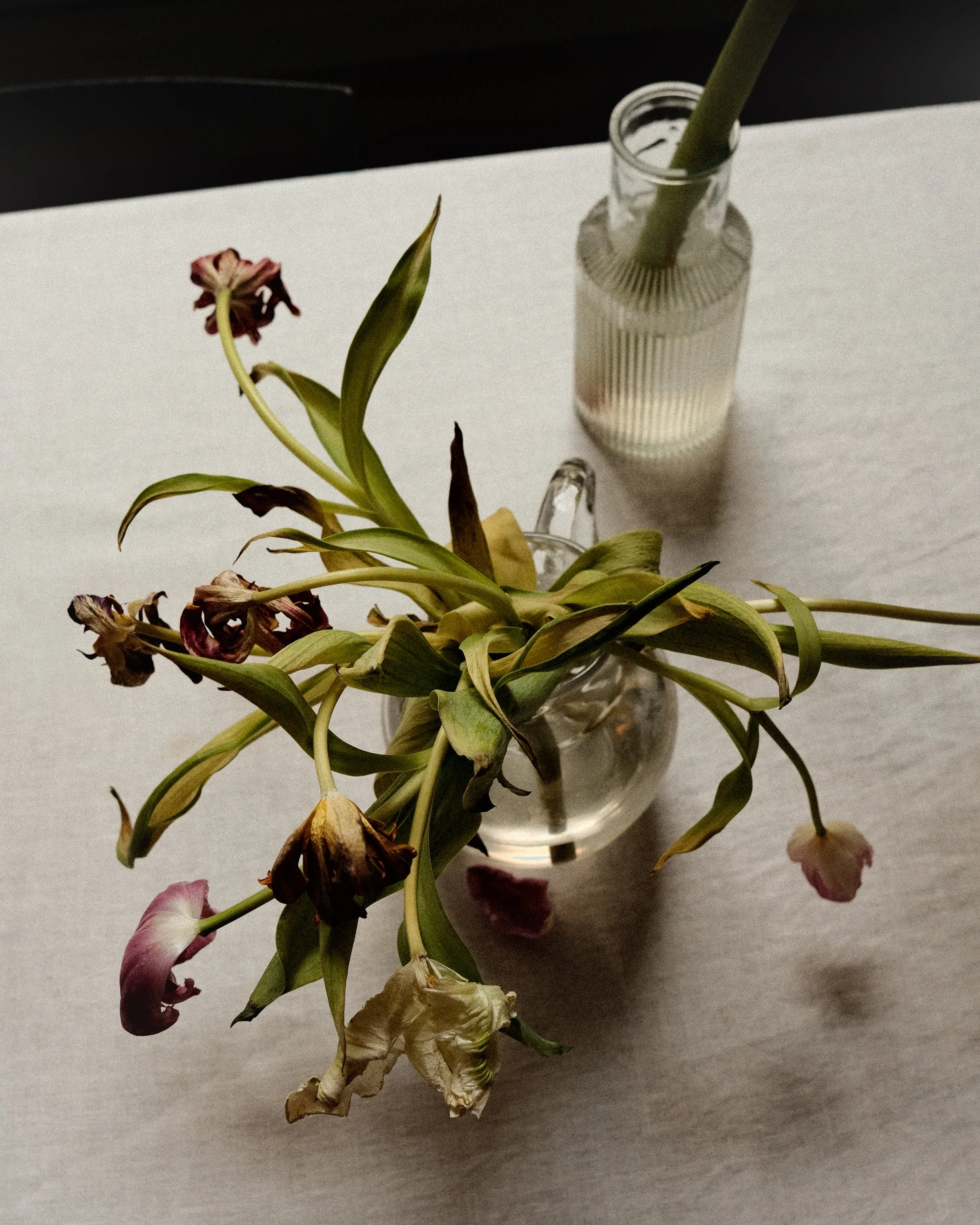 2025_aurelie_joly_photography_art_direction_paris_vase.jpg