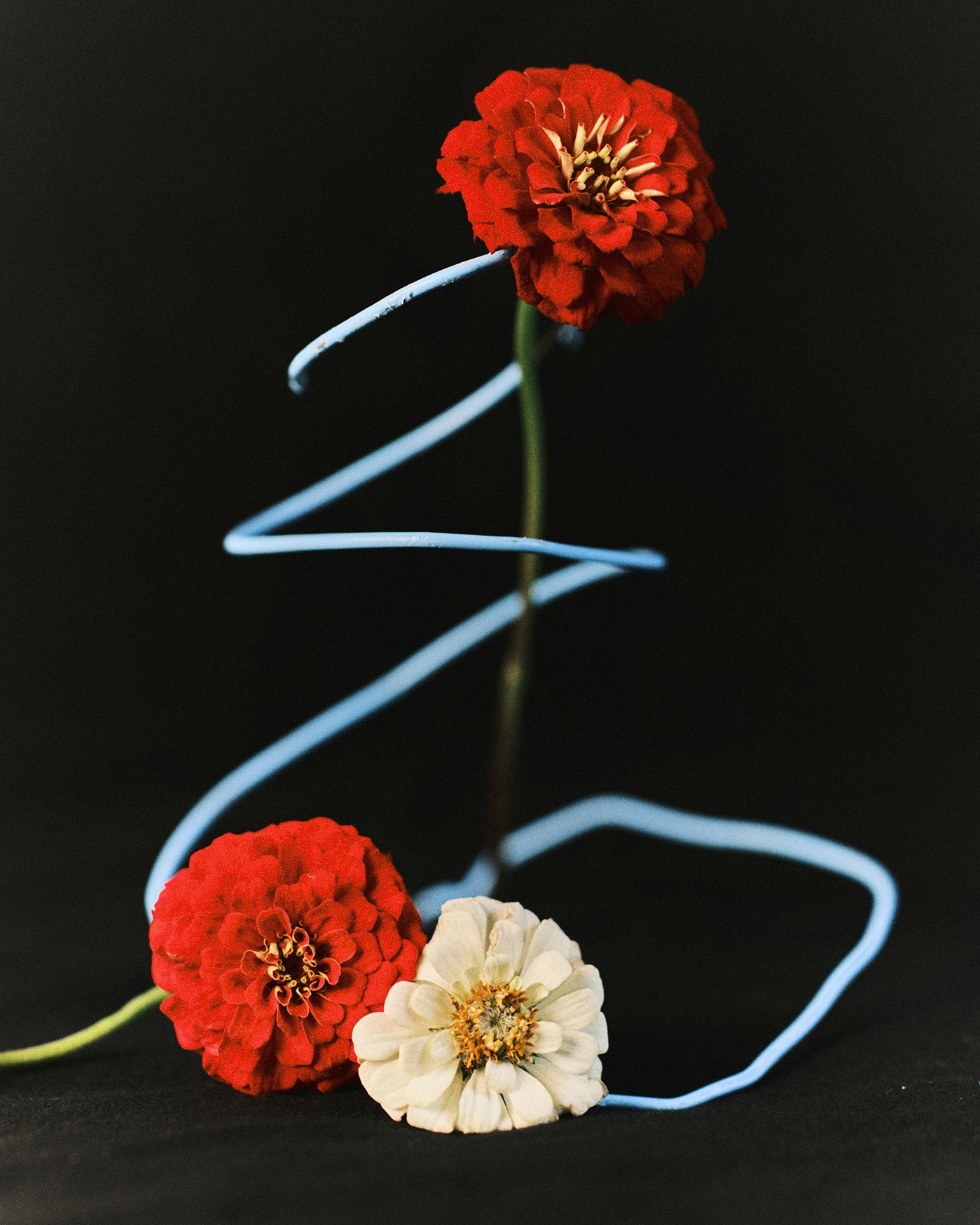 aurelie_joly_art_direction_photography_ARLES_ruines_13.jpg