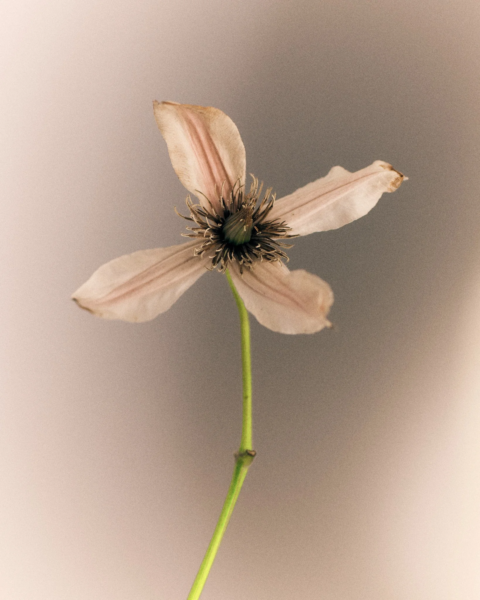 2510_FUJI_GFX_PERSO0587.jpg