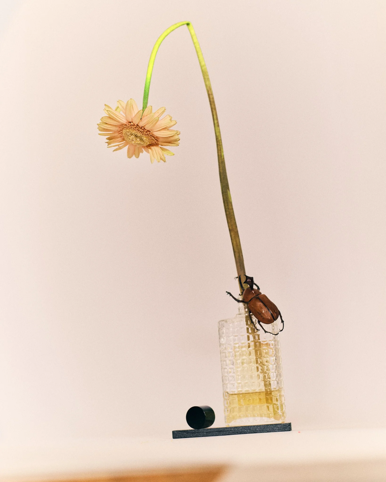 2510_FUJI_GFX_PERSO0597.jpg