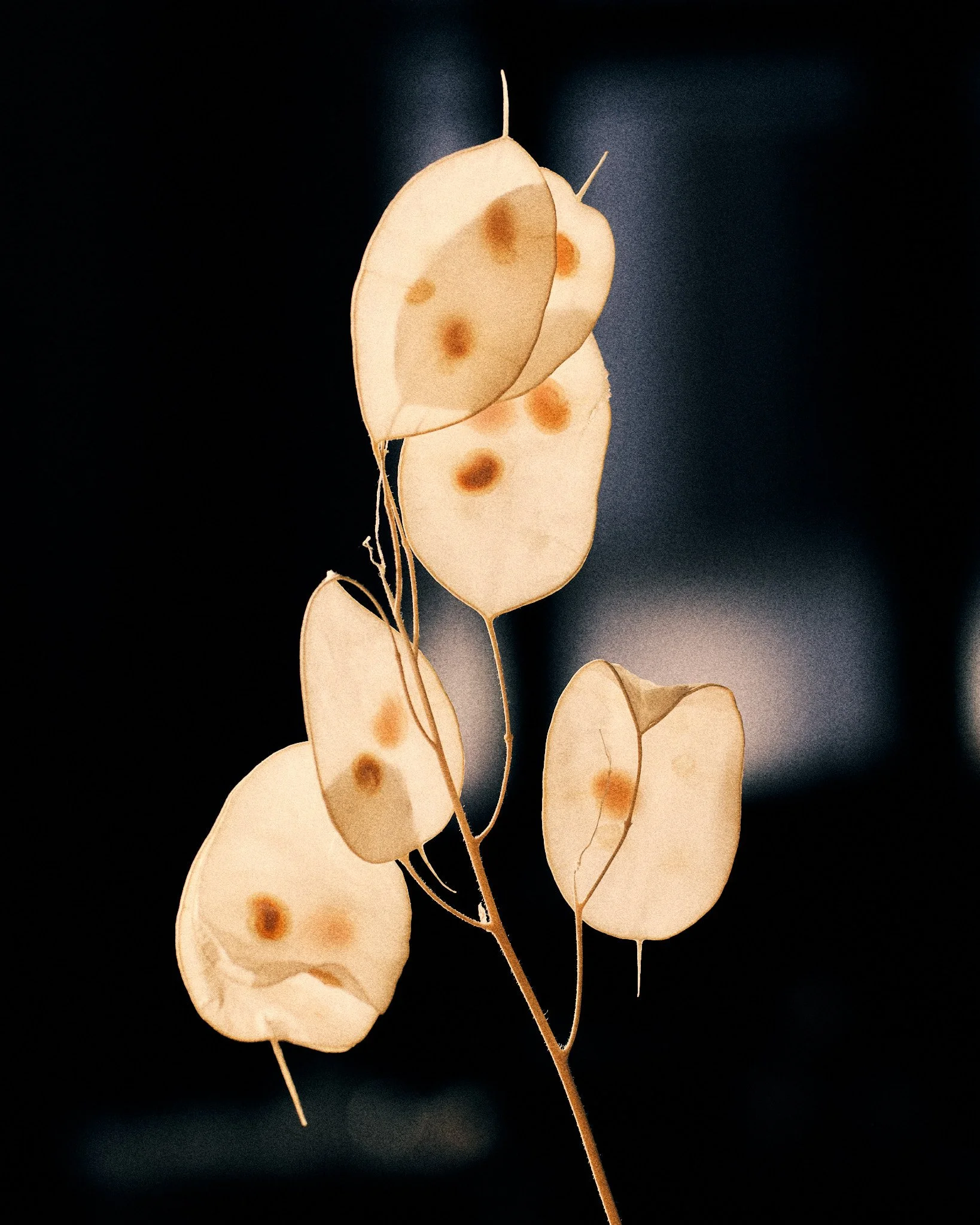 2510_FUJI_GFX_PERSO0744.jpg