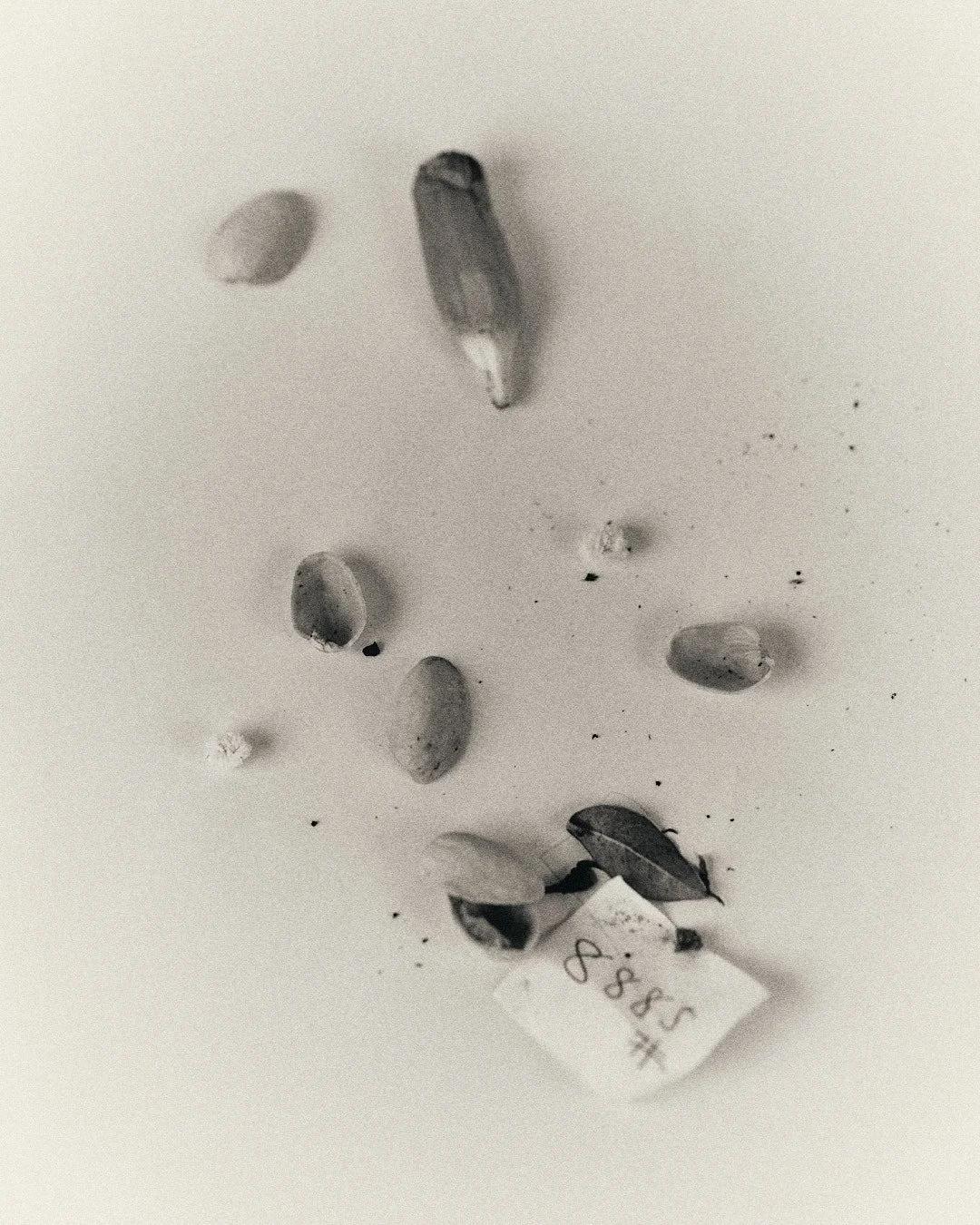 DSCF5545.jpg