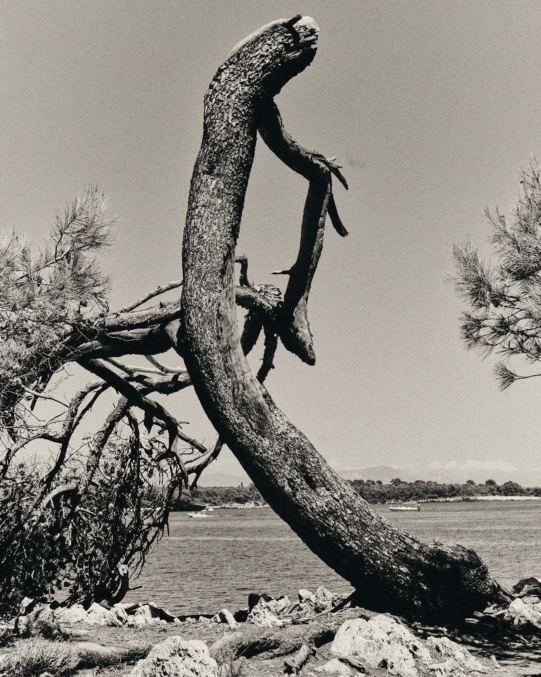 DSCF4885.jpg