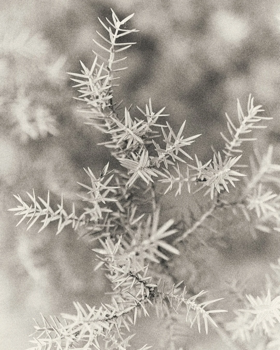 DSCF5326.jpg