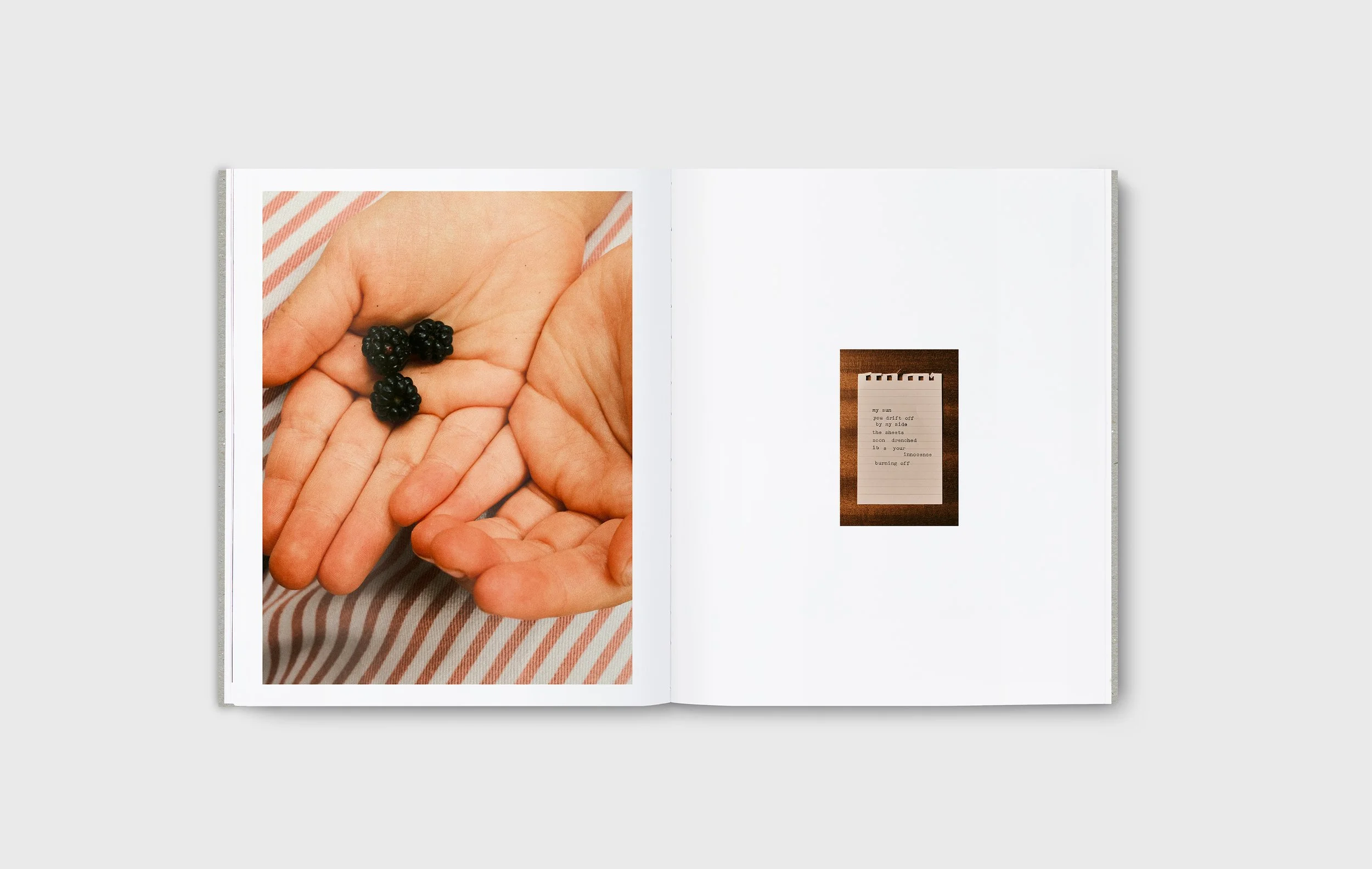 CRUMBS-spreads06.jpg
