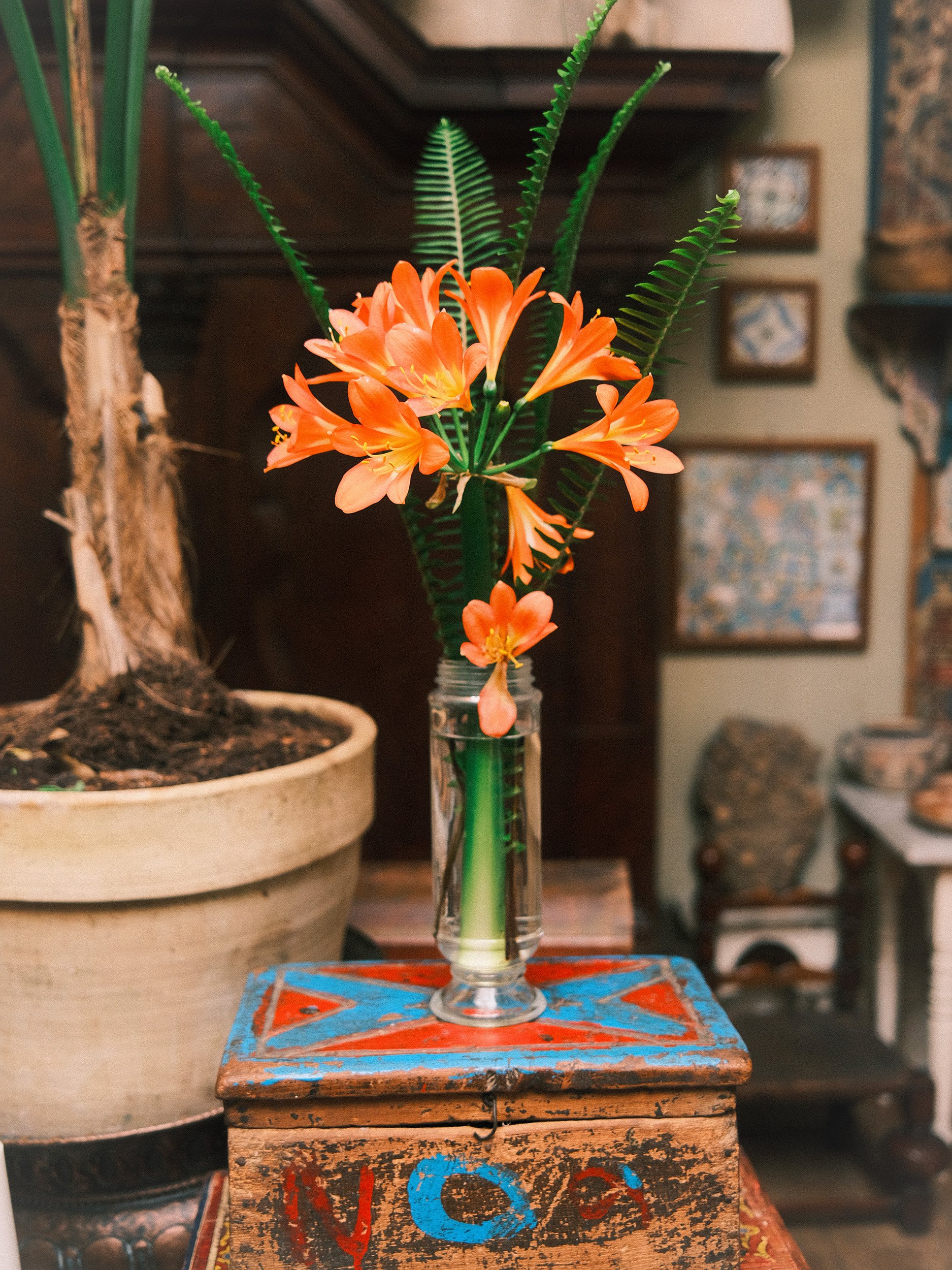 aurelie-joly-photography-house-umberto-pasti-tangier-33.jpg