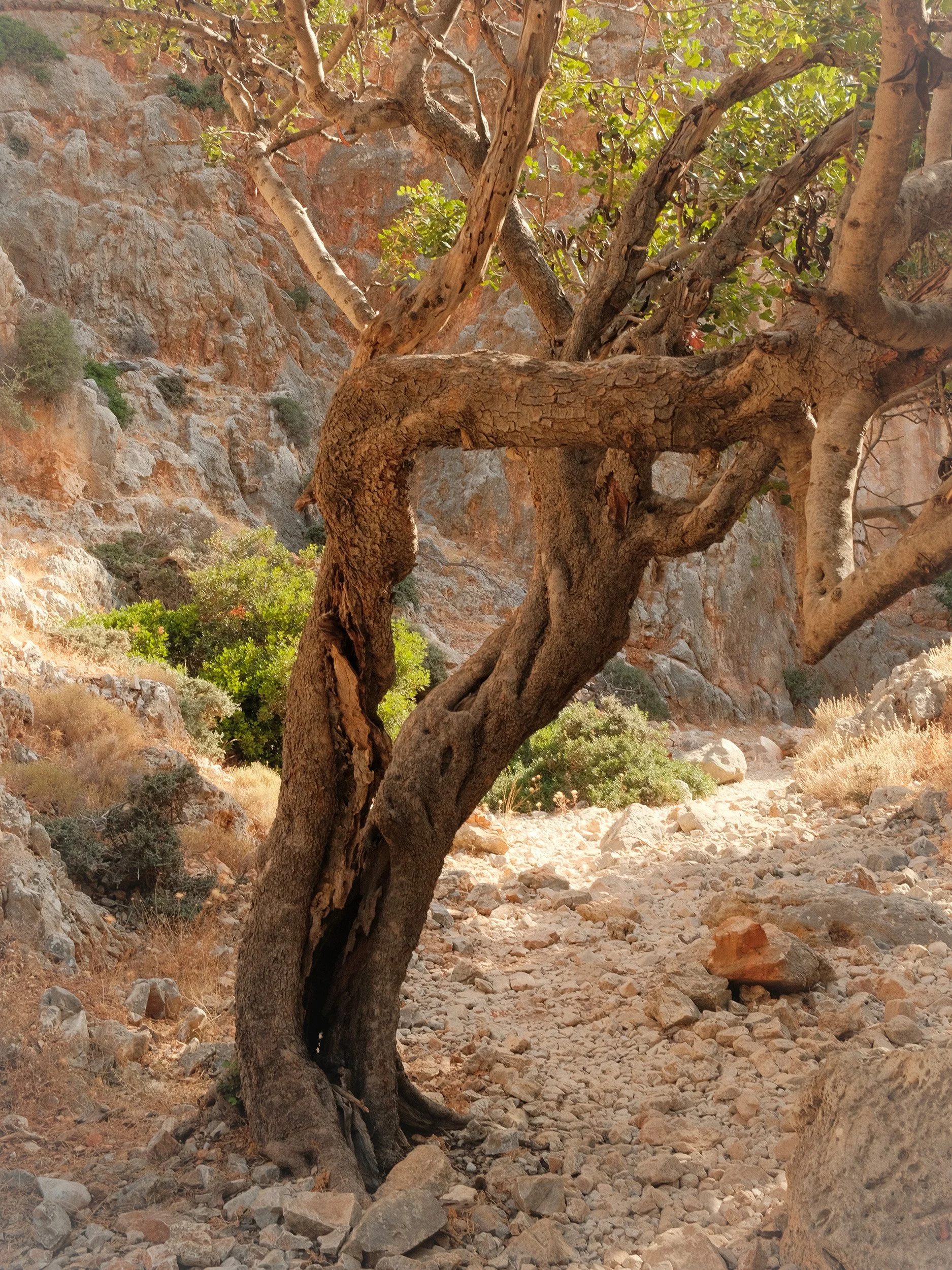 aurelie-joly-travel-photography-crete-greece-11.jpg