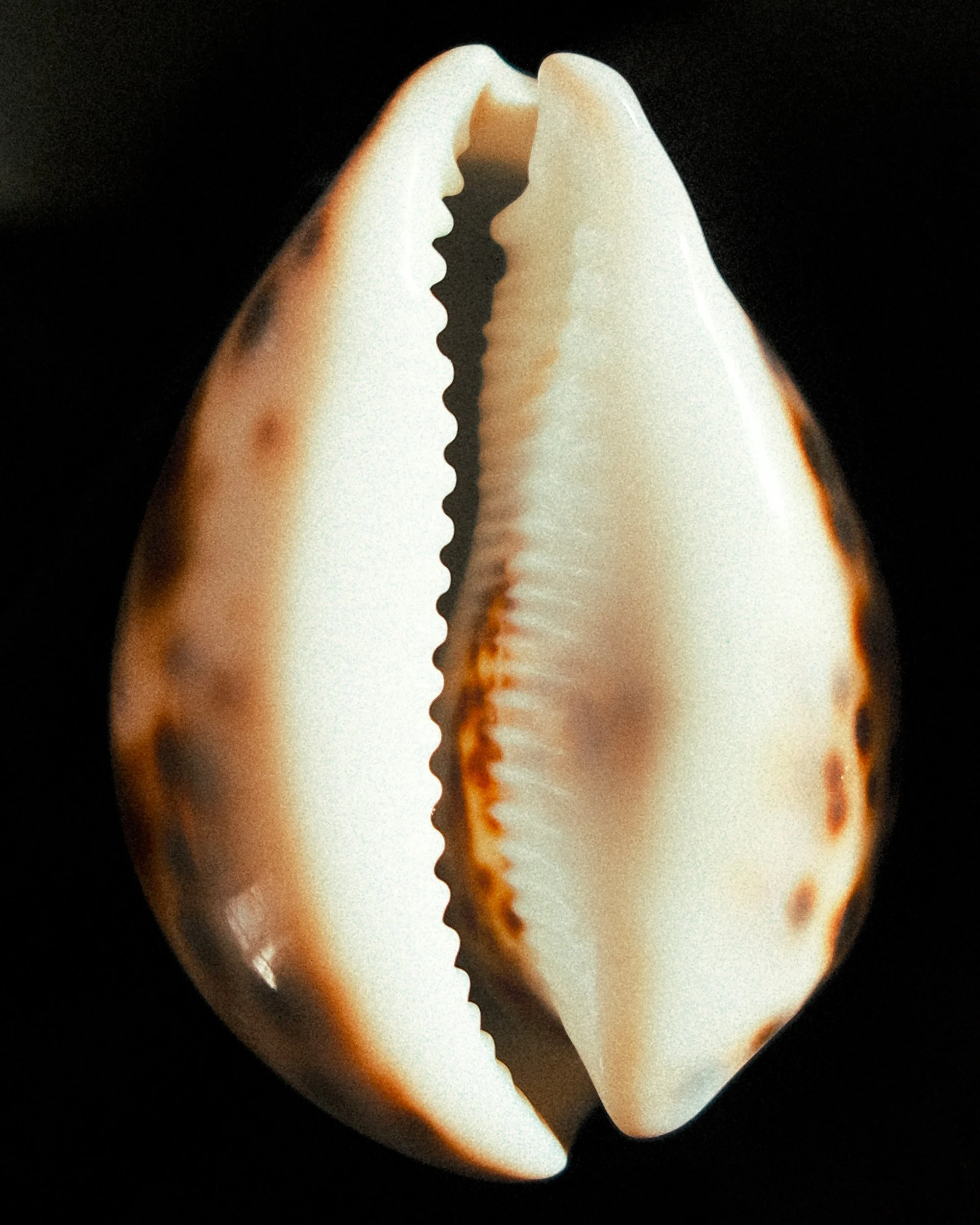 aurelie-joly-photography-french-atlantic-27.jpg