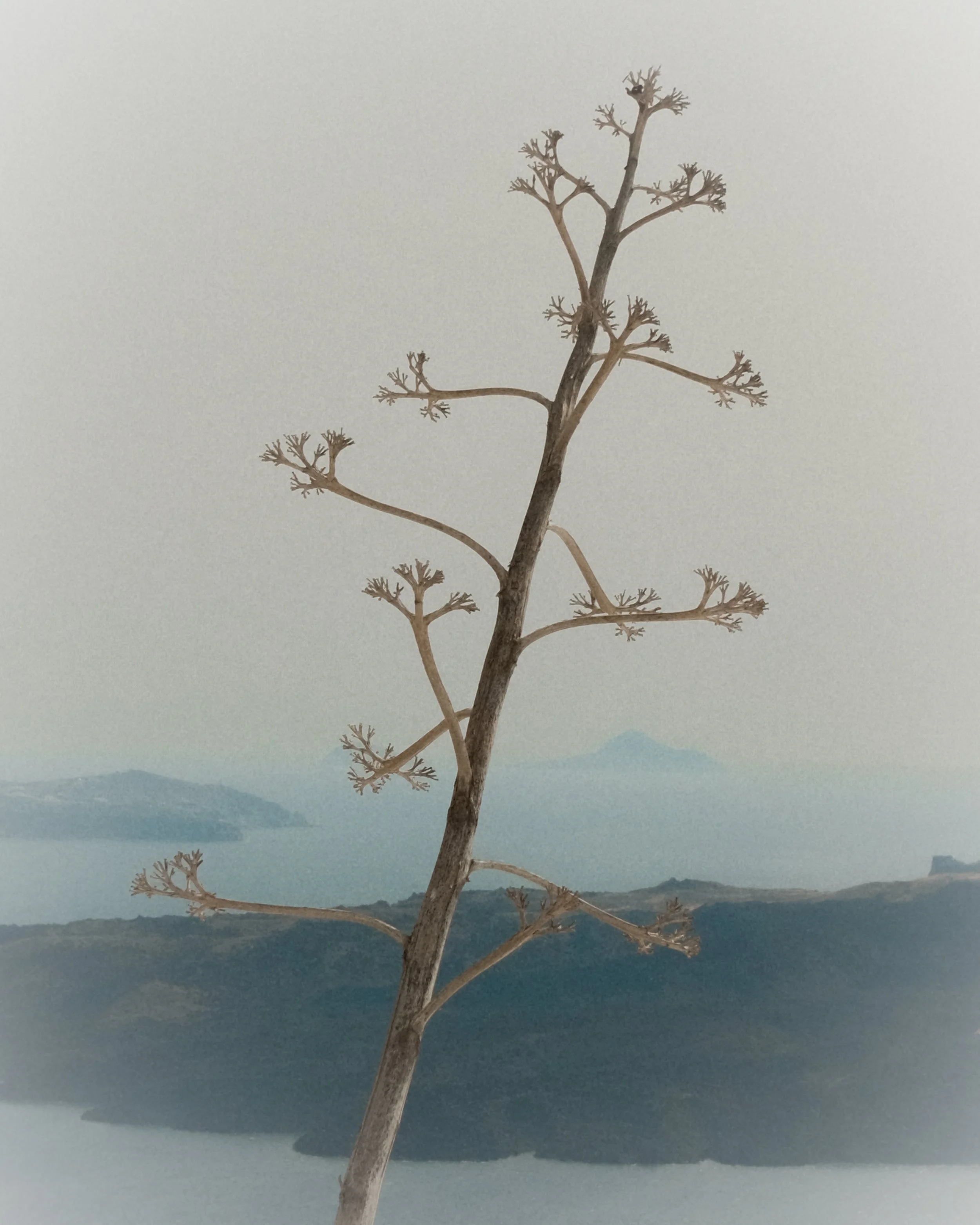 2405_fuji_greece_45.jpg