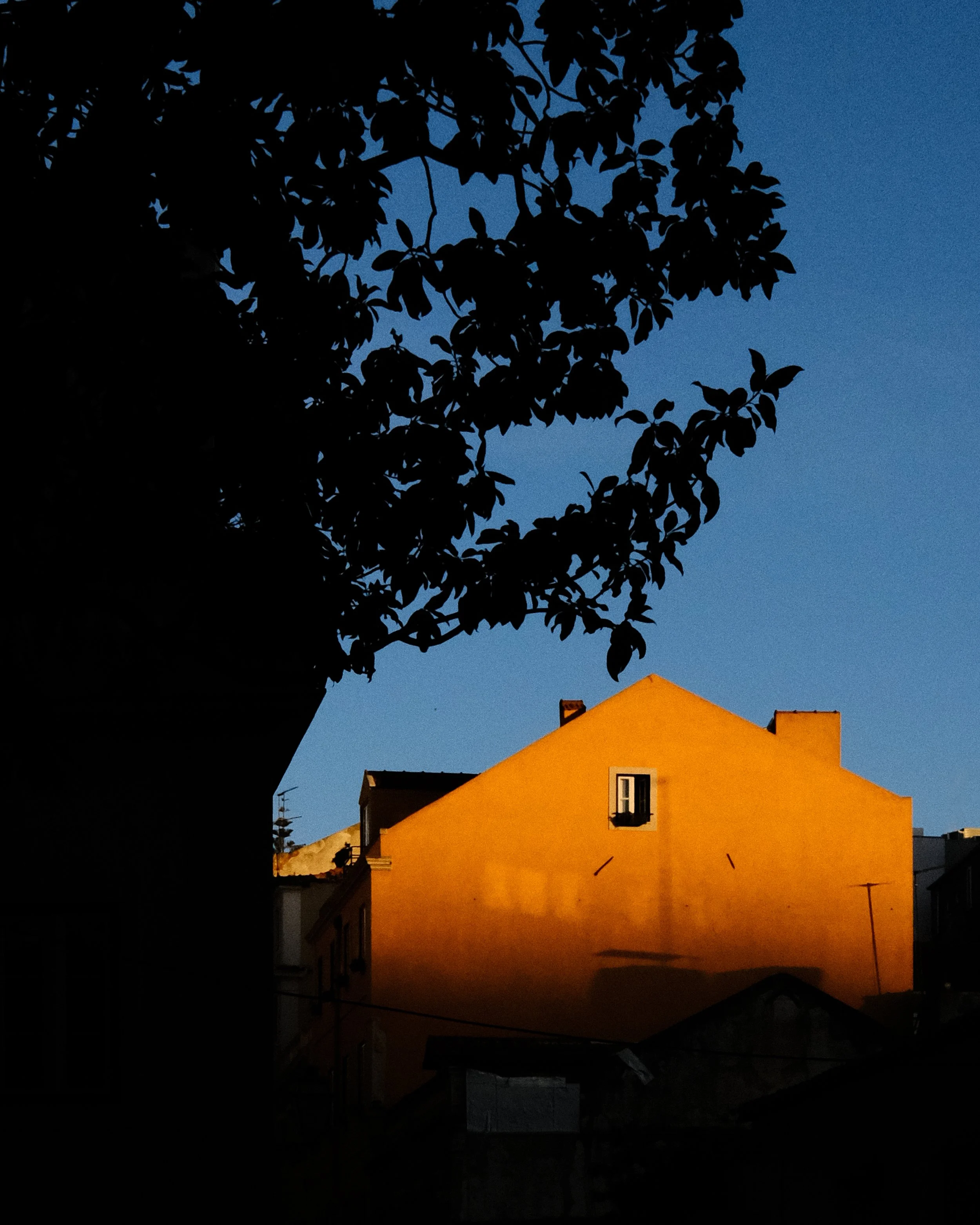 2304_fuji_lisbonne_34.jpg