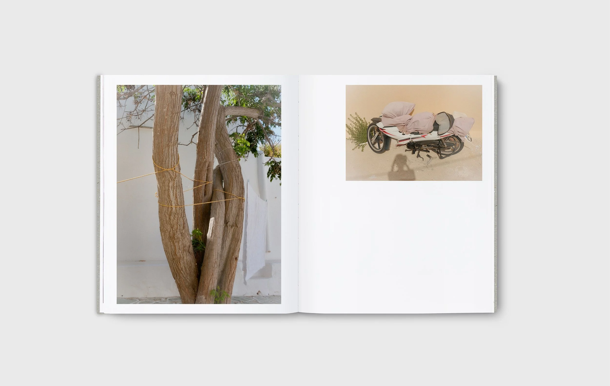 CRUMBS-spreads05.jpg