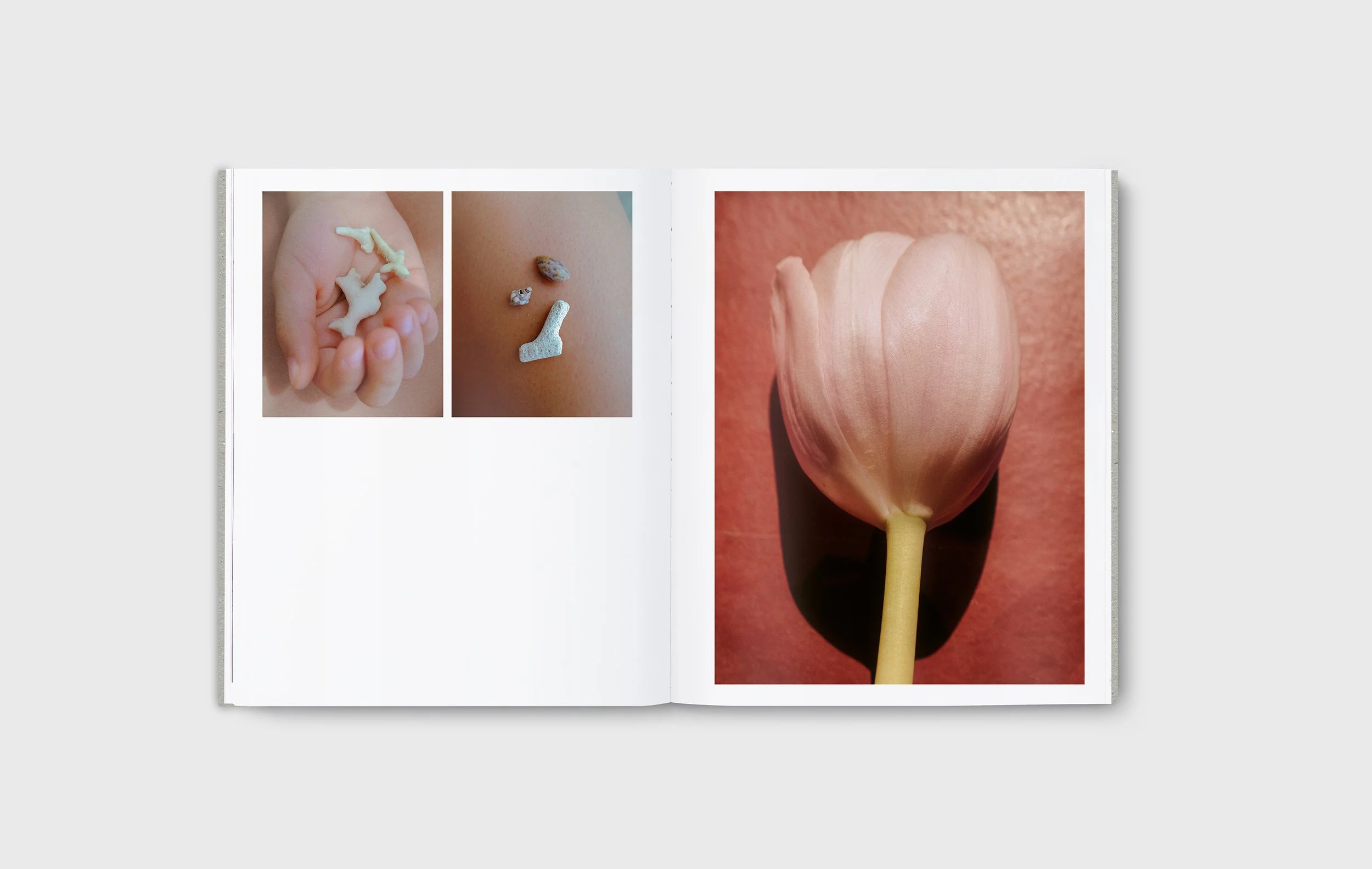 CRUMBS-spreads01.jpg