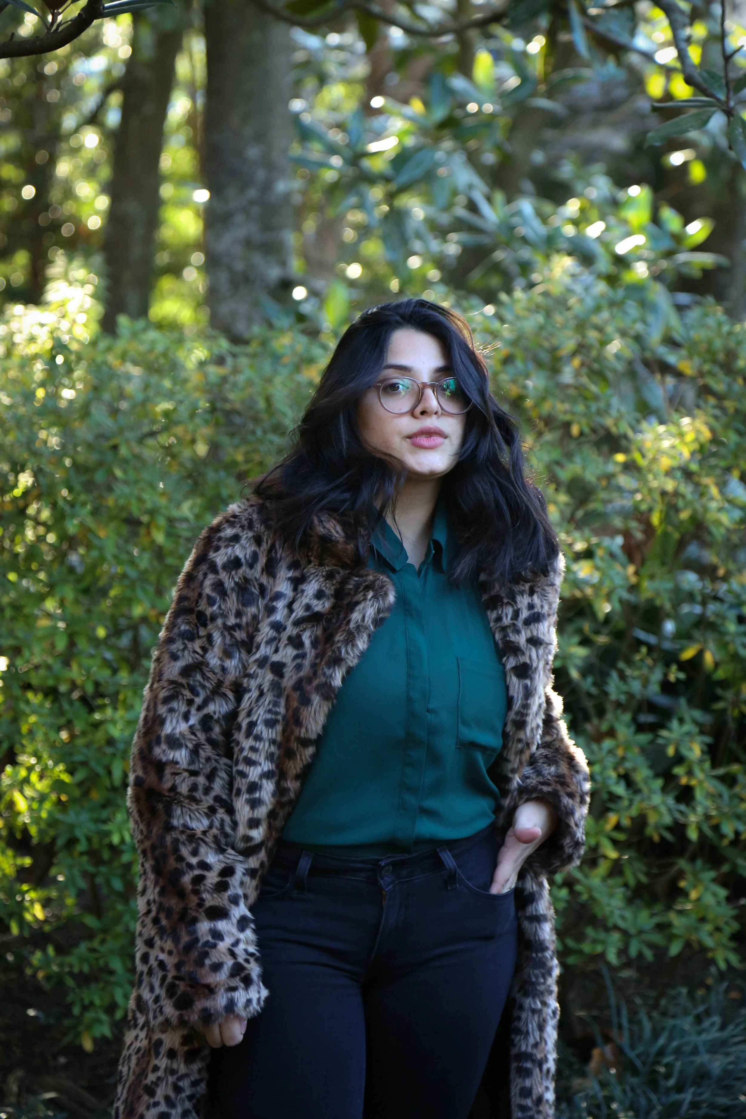 Leopard (4 of 16).jpg
