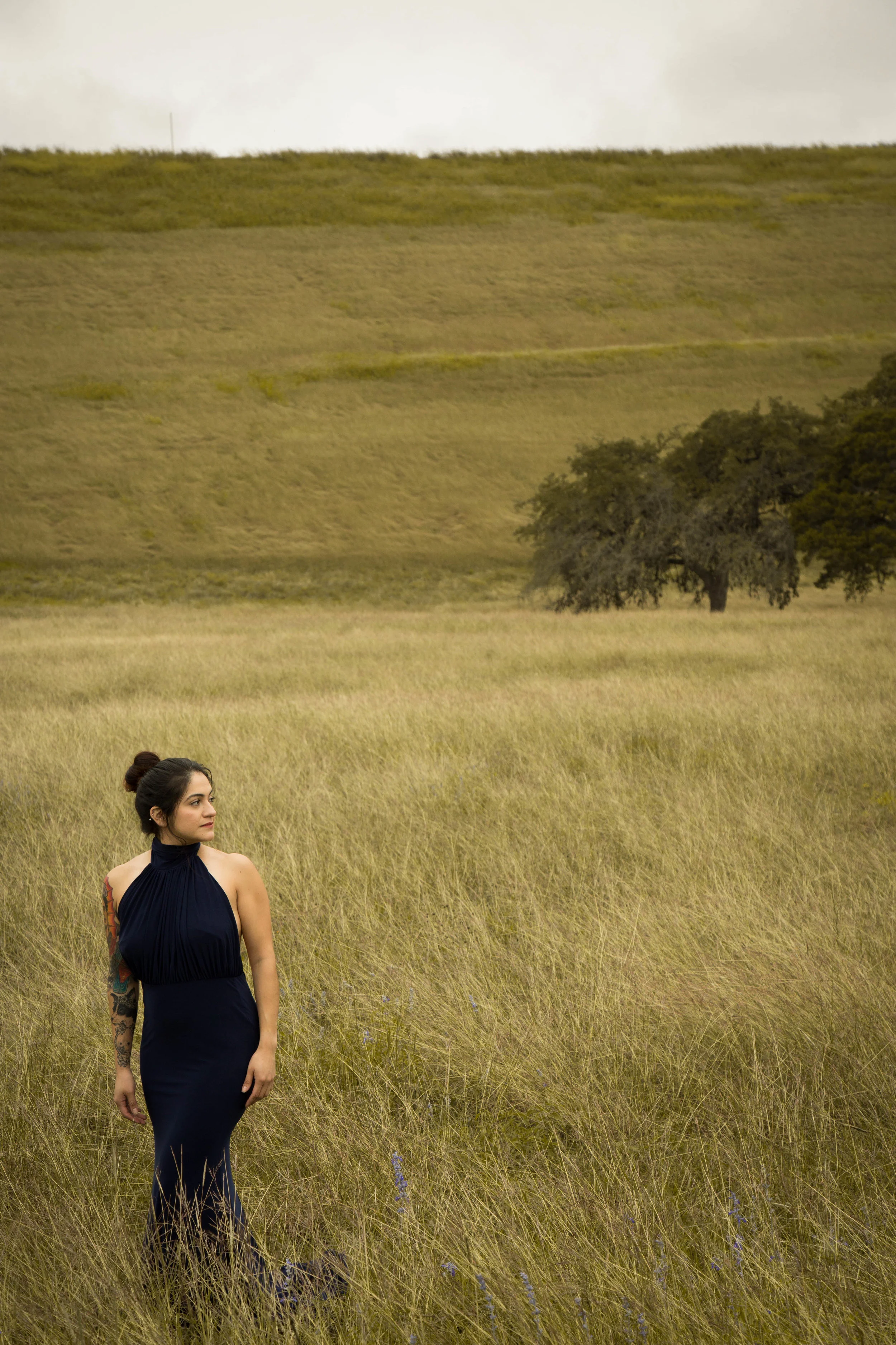 Open Fields (4 of 12).jpg