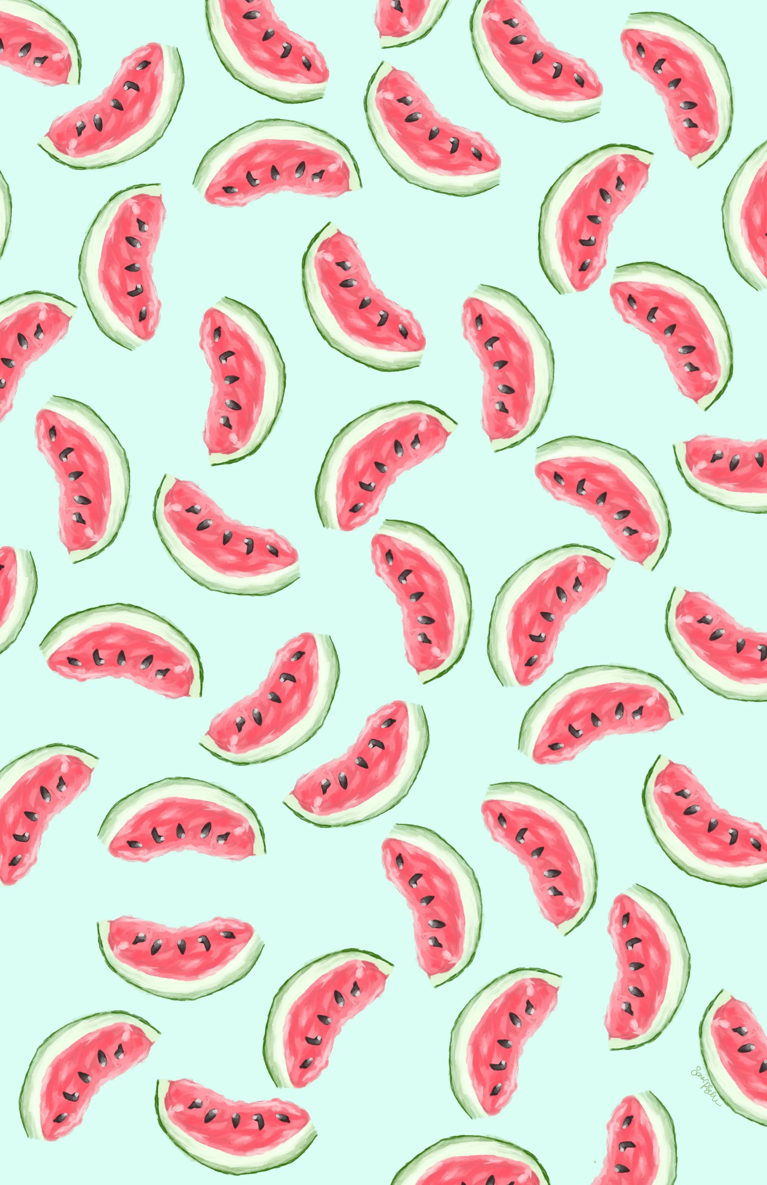  Watermelon illustration. Part of the fruit illustration series. 