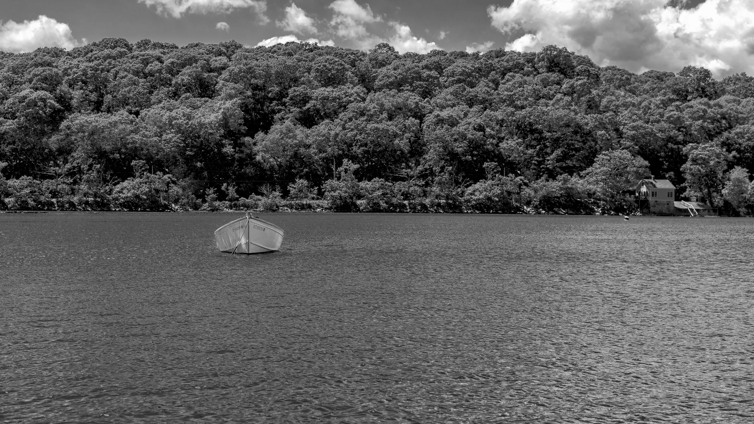 A7R08746-Edit.jpg