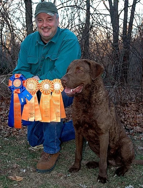 hunting chesapeake bay retriever breeders
