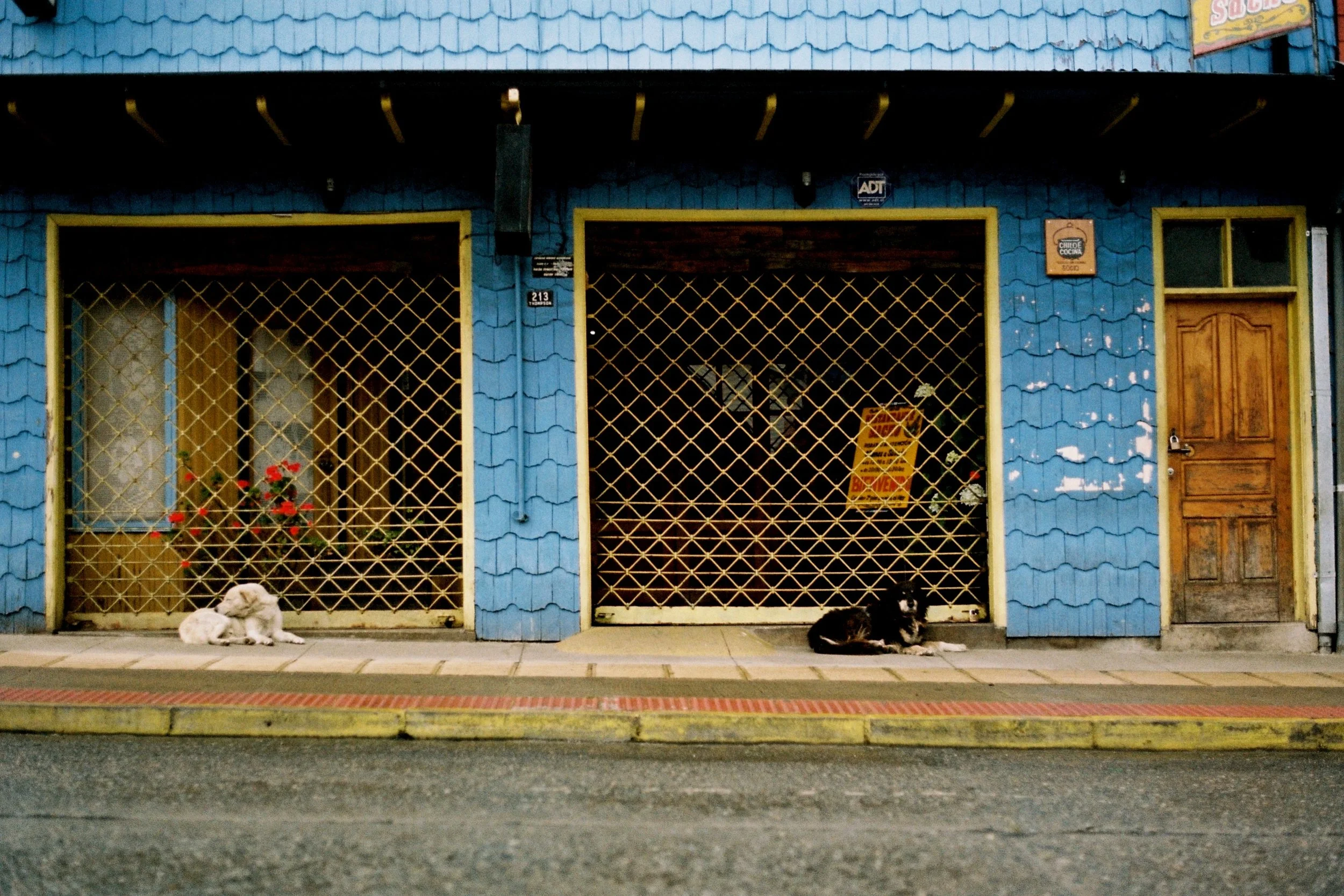 Ile chiloe Castro4.JPG