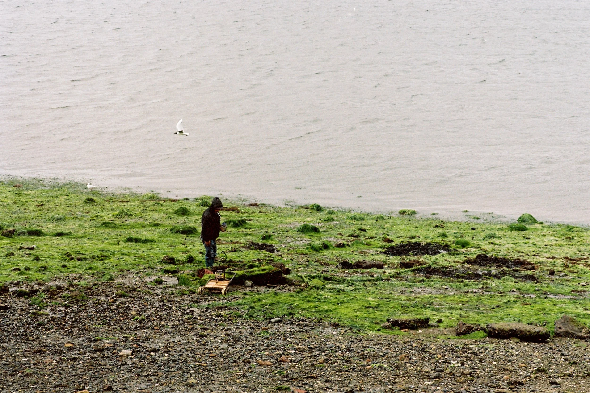 Ile Chiloe castro11.JPG